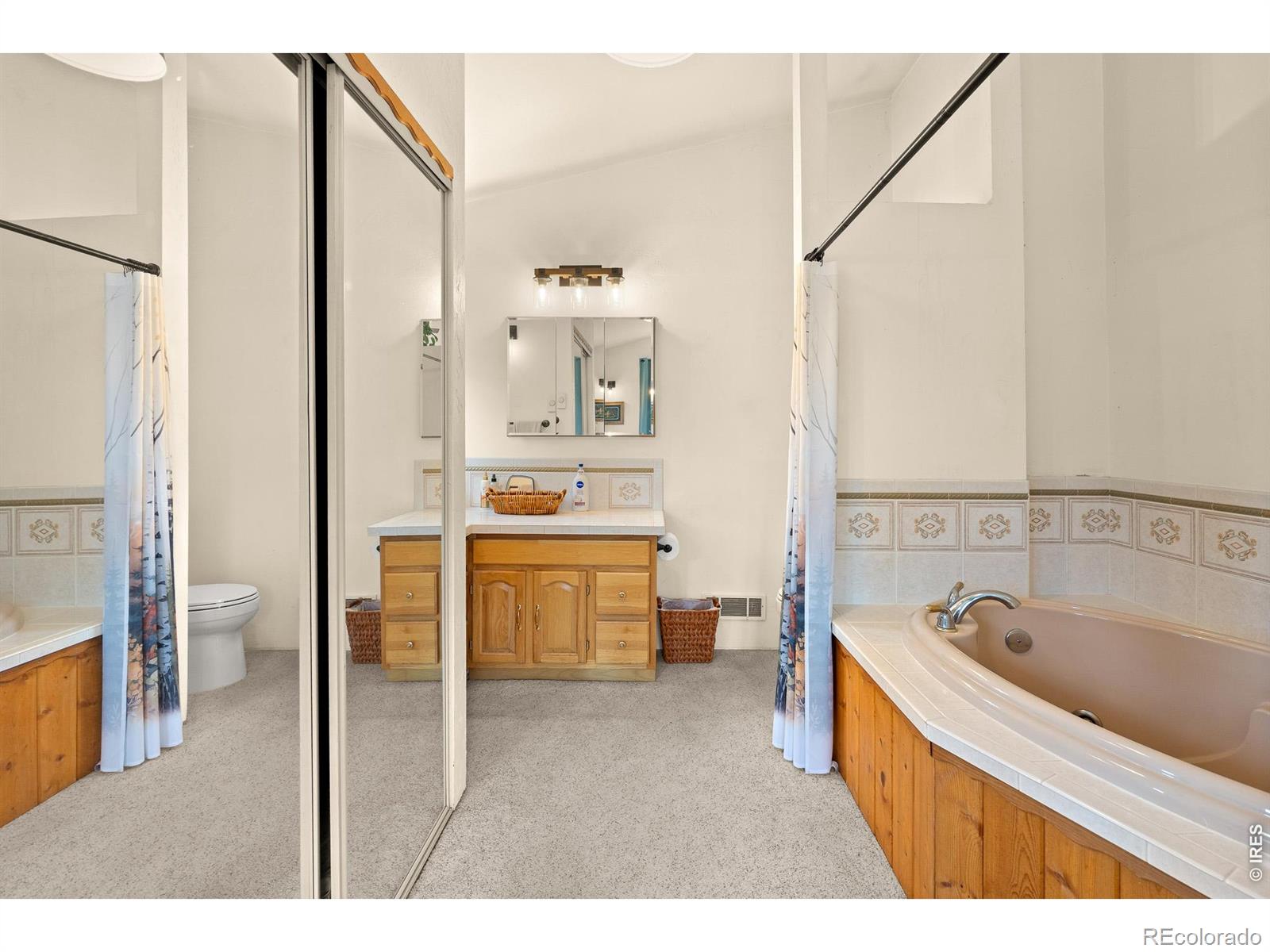 MLS Image #21 for 107  miami court,red feather lakes, Colorado