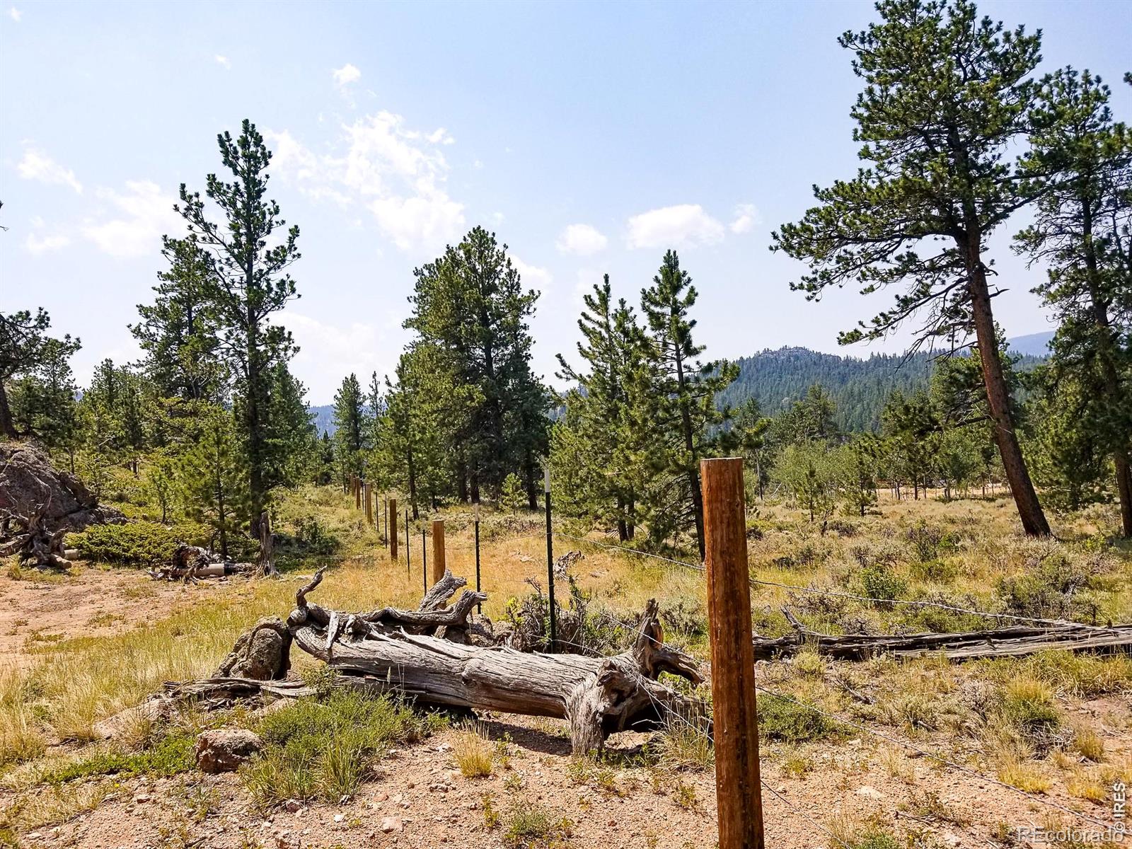 MLS Image #3 for 107  miami court,red feather lakes, Colorado