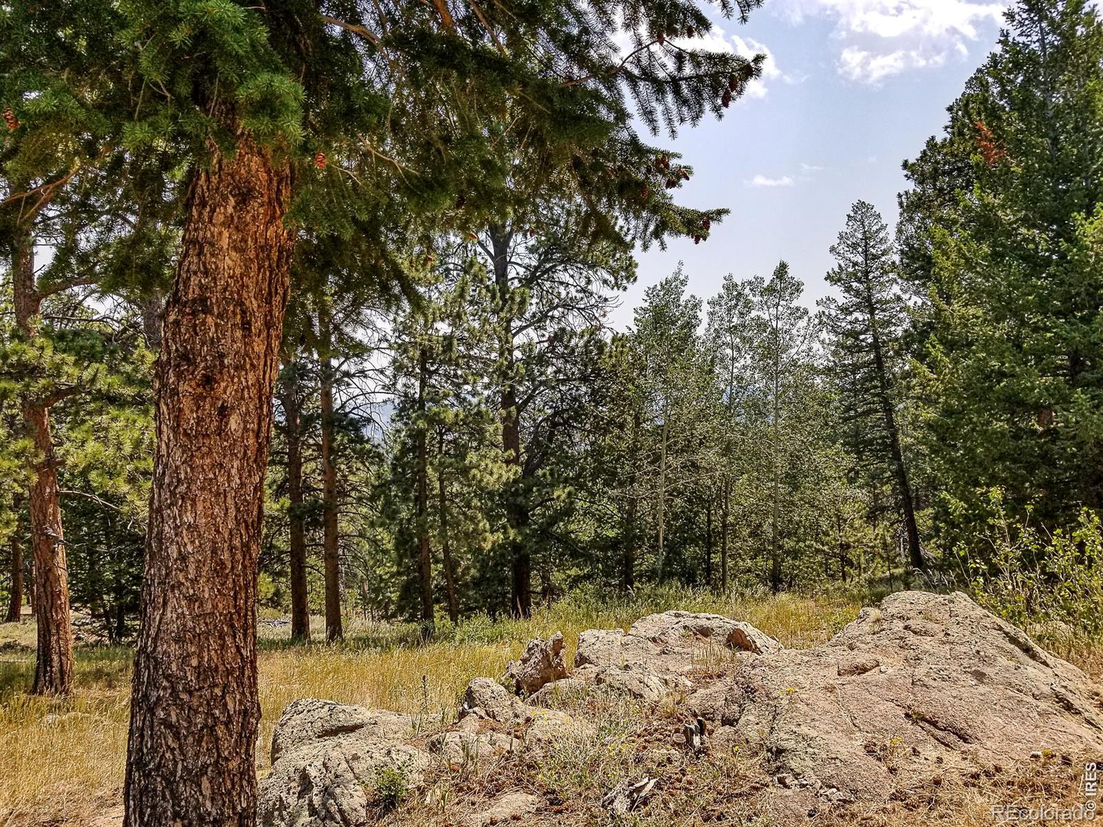 MLS Image #37 for 107  miami court,red feather lakes, Colorado