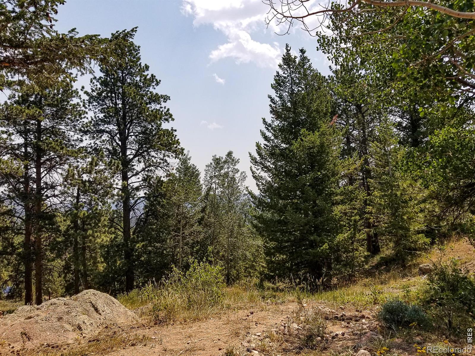 MLS Image #38 for 107  miami court,red feather lakes, Colorado