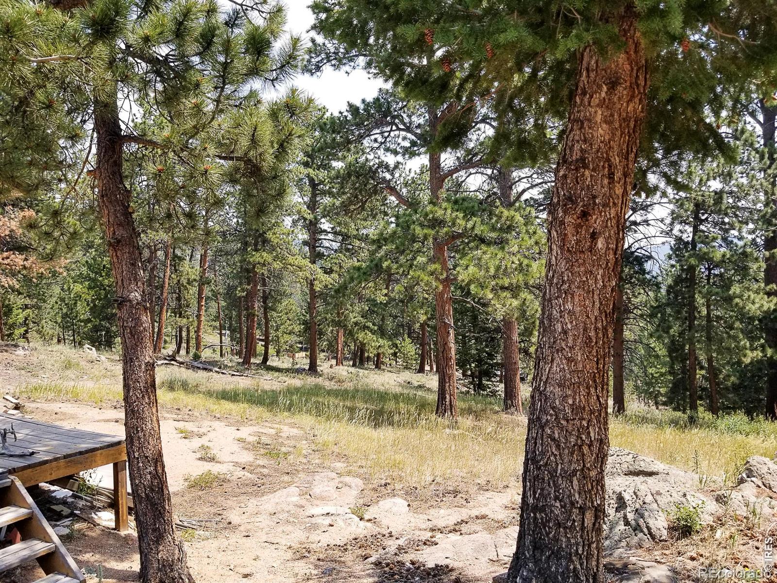 MLS Image #39 for 107  miami court,red feather lakes, Colorado