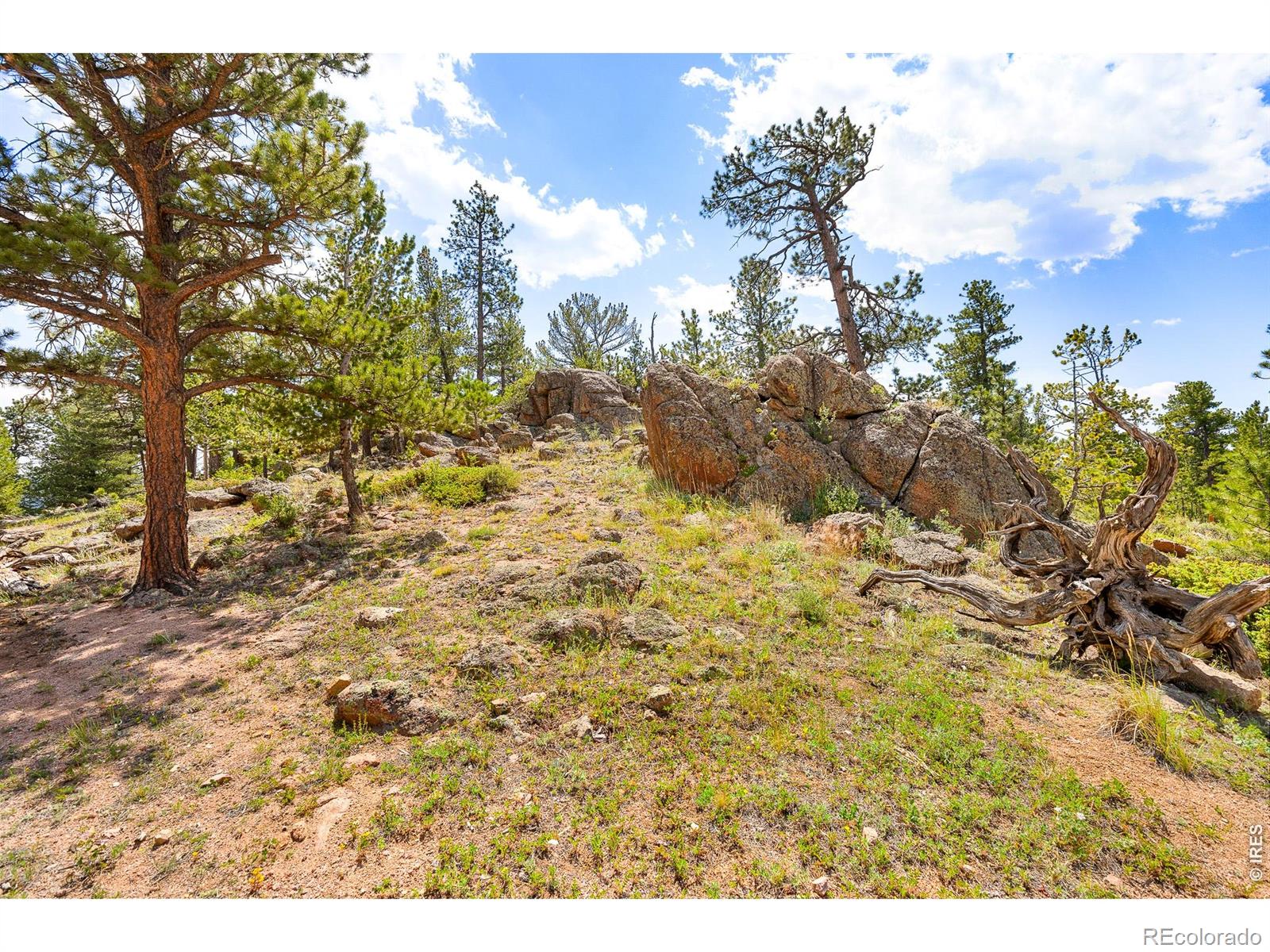 MLS Image #4 for 107  miami court,red feather lakes, Colorado