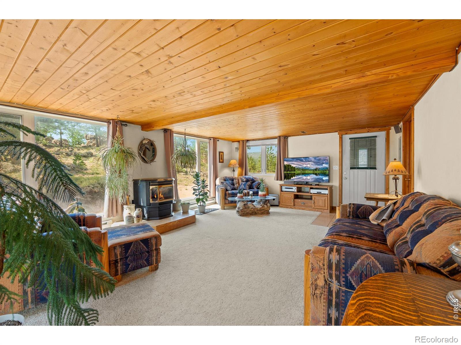 MLS Image #5 for 107  miami court,red feather lakes, Colorado