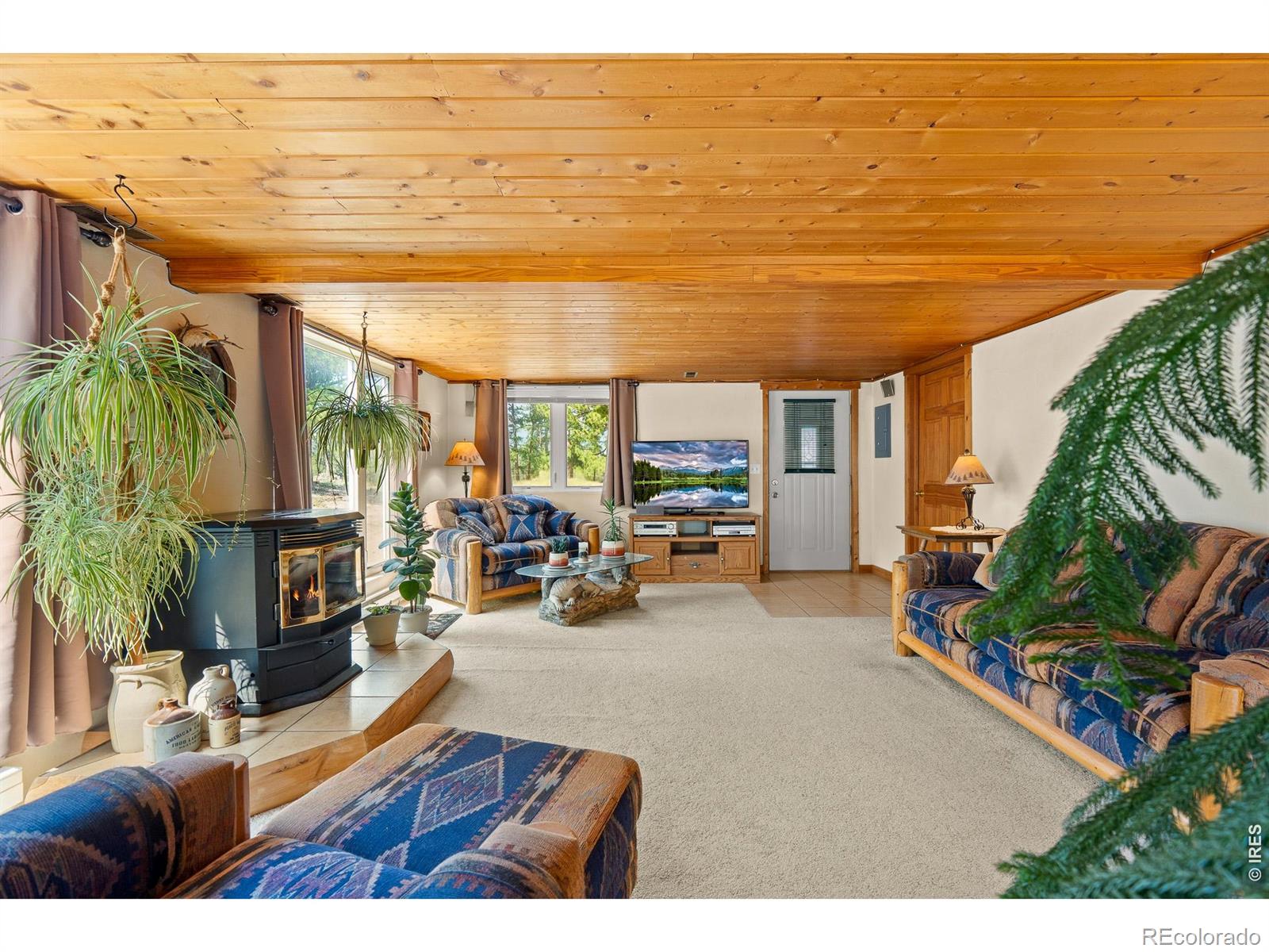 MLS Image #6 for 107  miami court,red feather lakes, Colorado