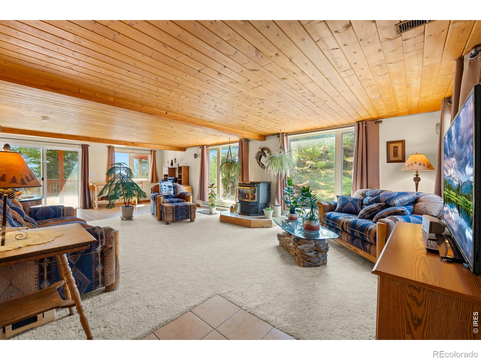 MLS Image #7 for 107  miami court,red feather lakes, Colorado
