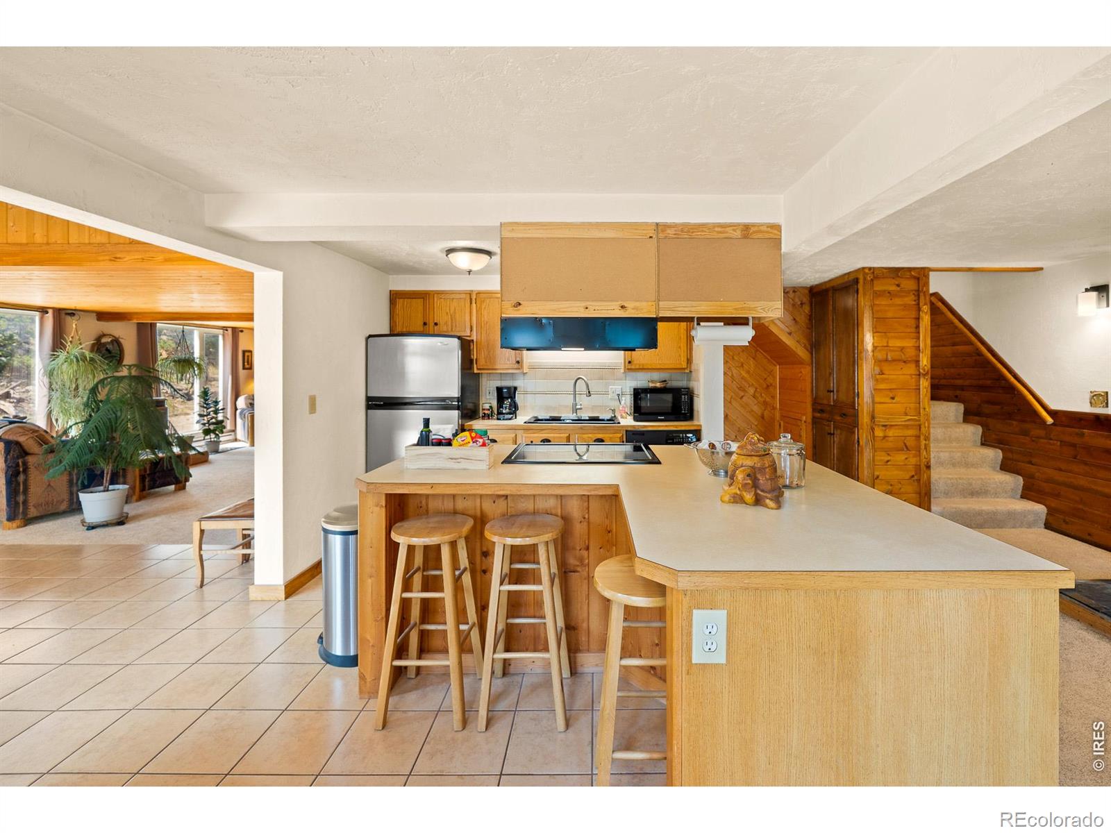 MLS Image #8 for 107  miami court,red feather lakes, Colorado