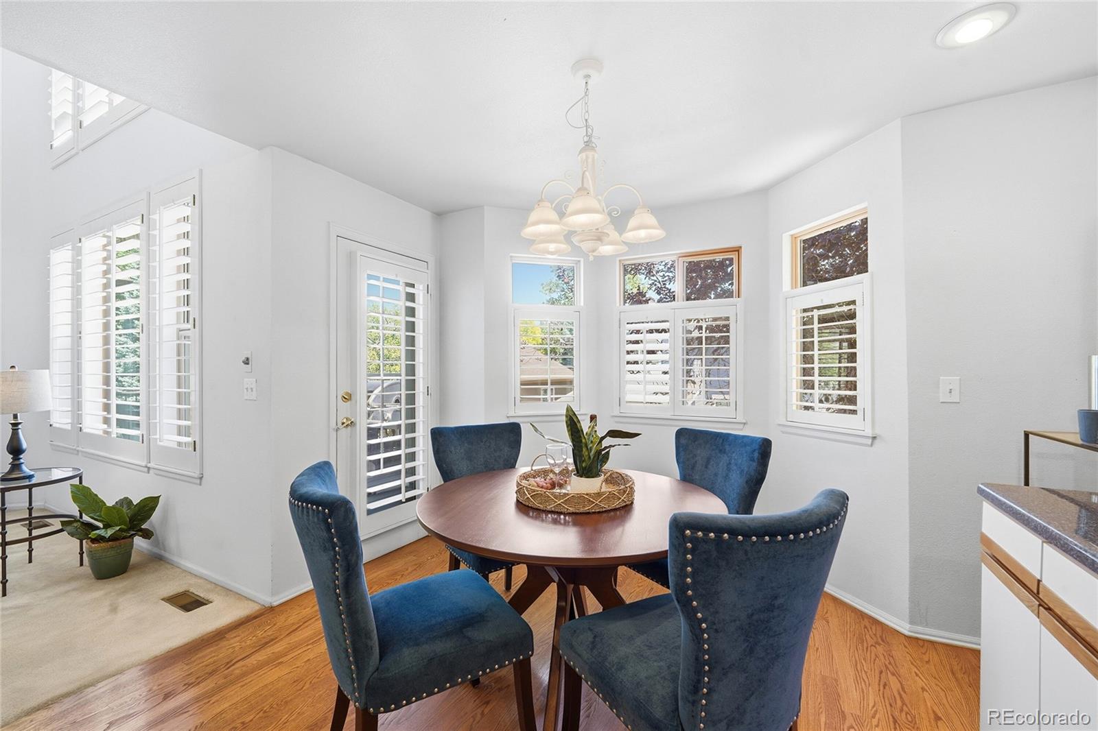MLS Image #12 for 7670 s hudson street,littleton, Colorado
