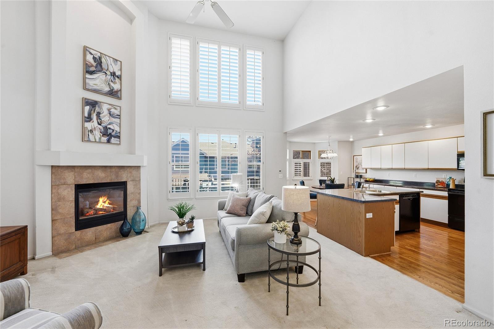MLS Image #8 for 7670 s hudson street,littleton, Colorado