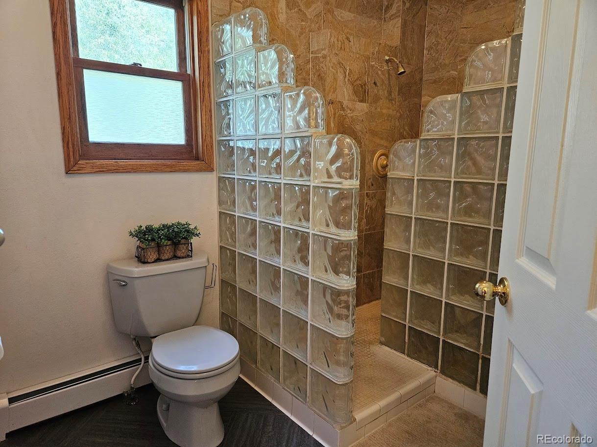 MLS Image #25 for 4725  county road 107 ,alamosa, Colorado