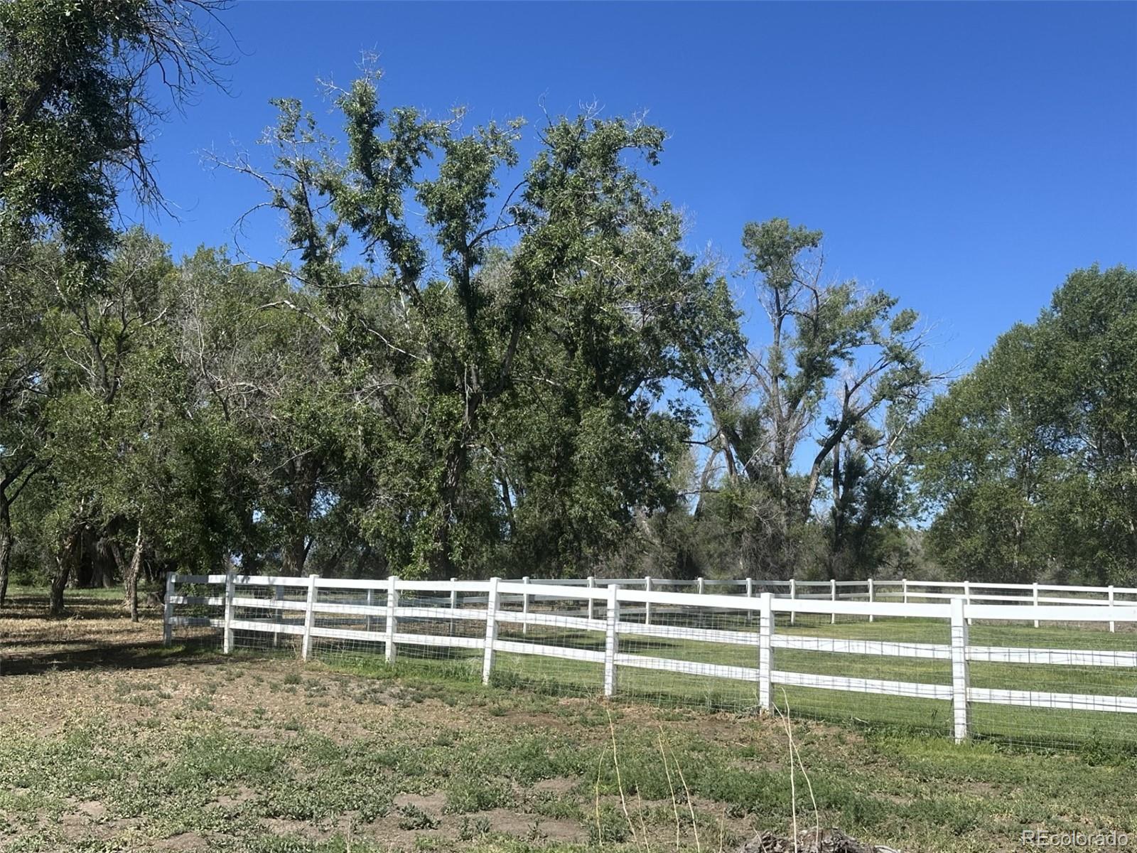 MLS Image #5 for 4725  county road 107 ,alamosa, Colorado