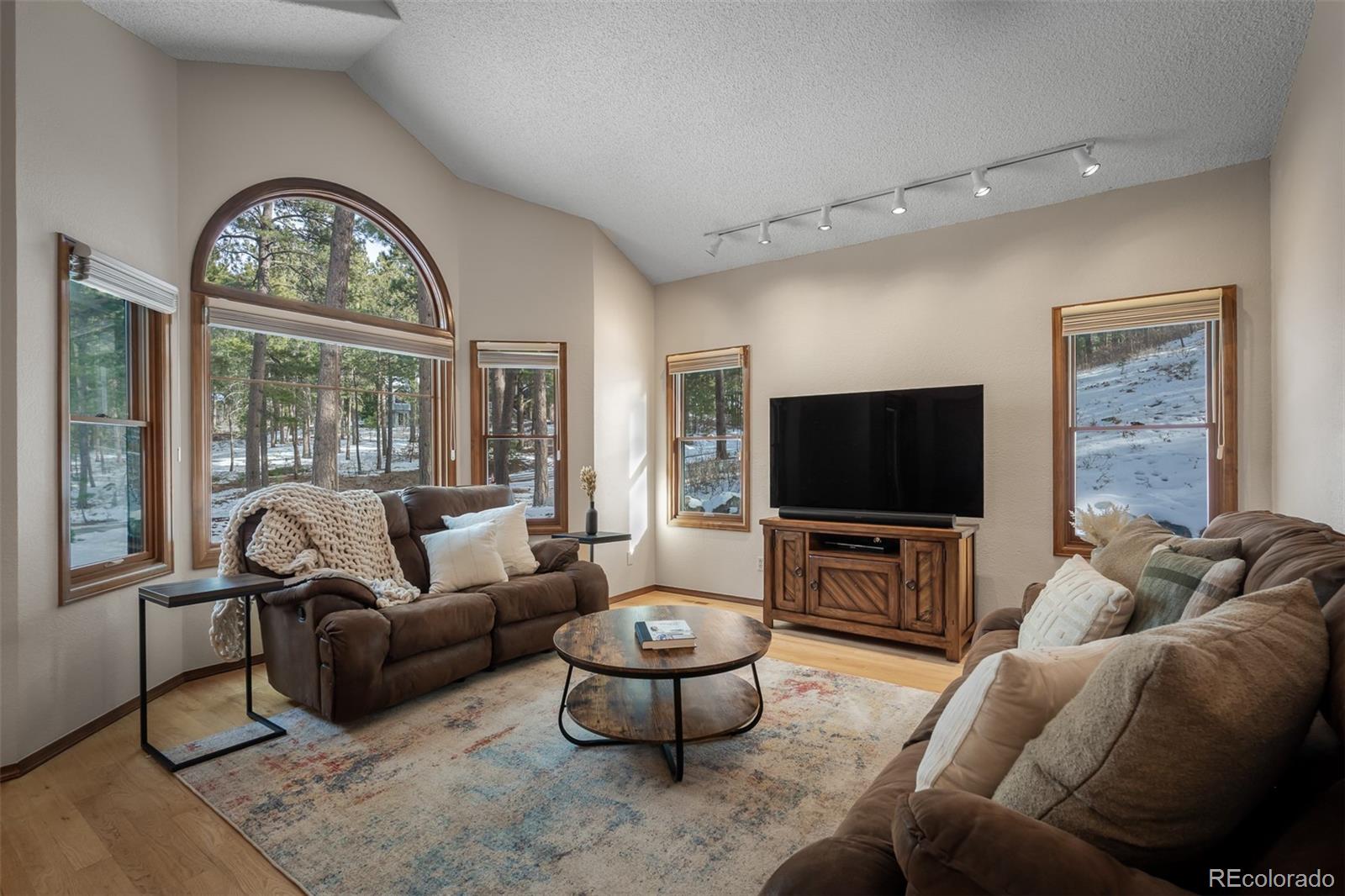 MLS Image #10 for 20070  lofty pine lane,monument, Colorado