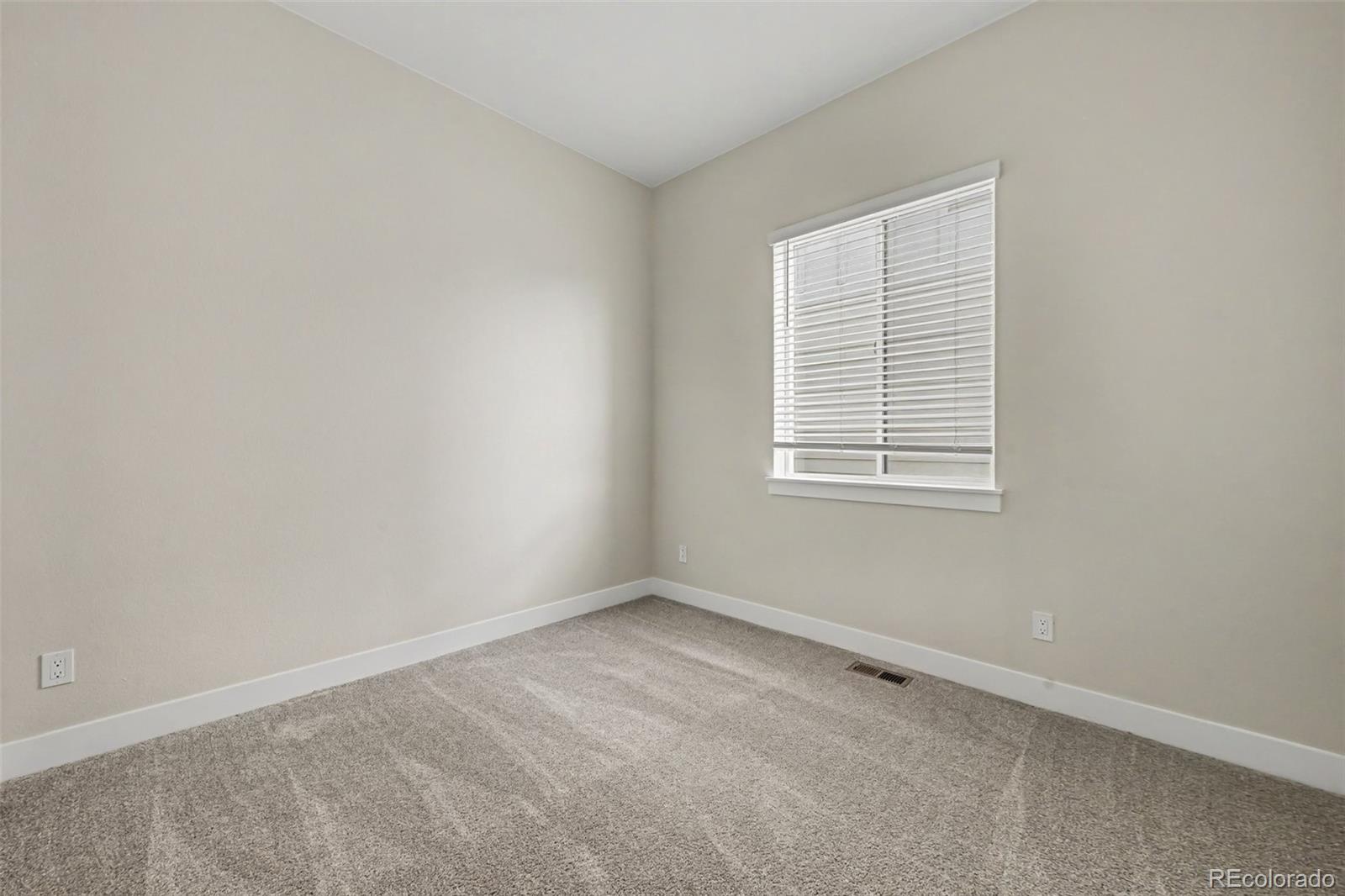 MLS Image #18 for 1656  flourish drive,windsor, Colorado