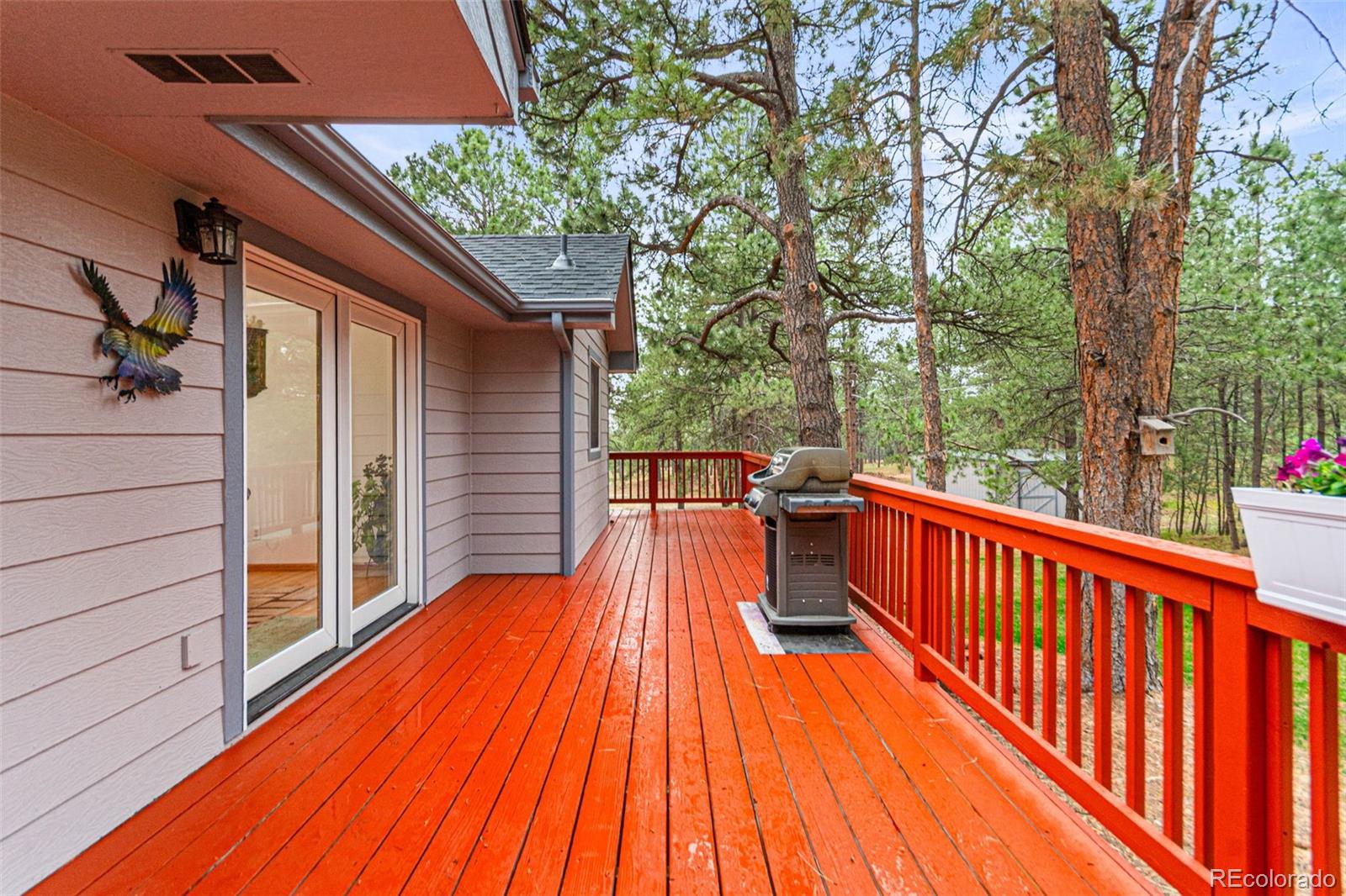 MLS Image #18 for 34525  forest park drive,elizabeth, Colorado