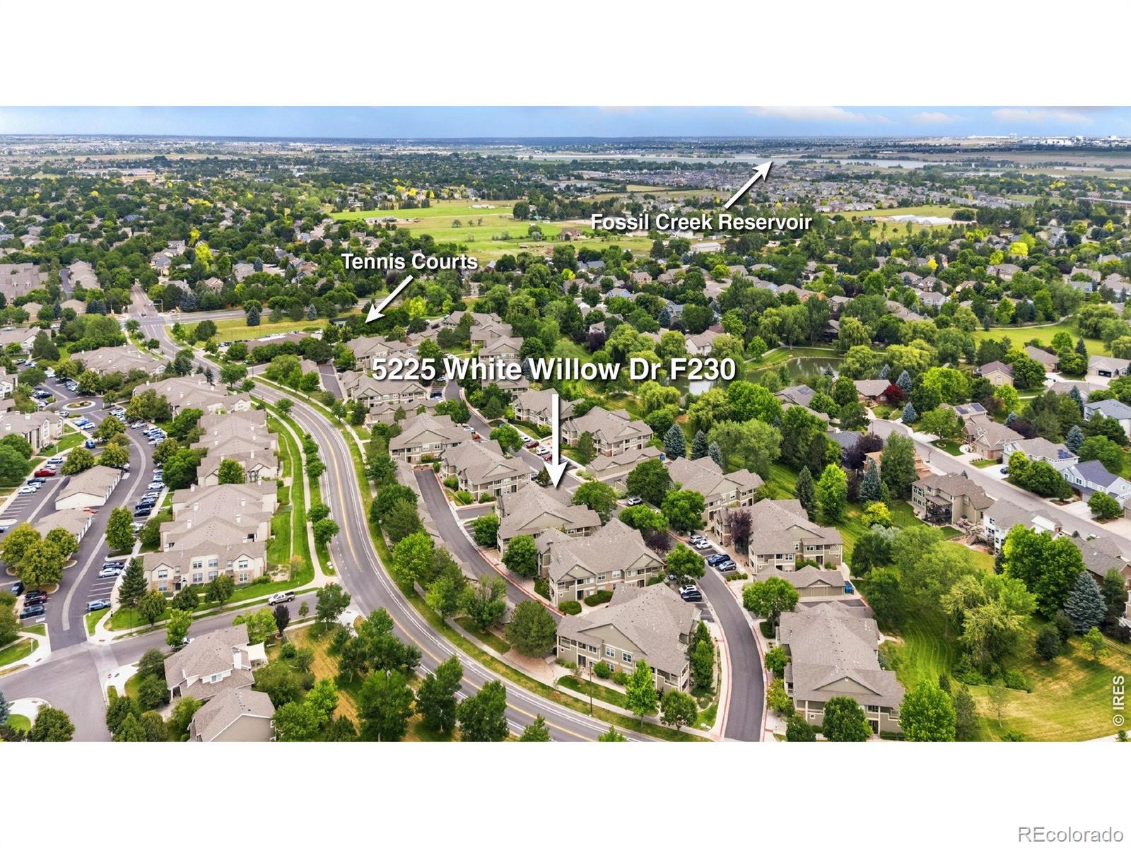 MLS Image #1 for 5225  white willow drive,fort collins, Colorado