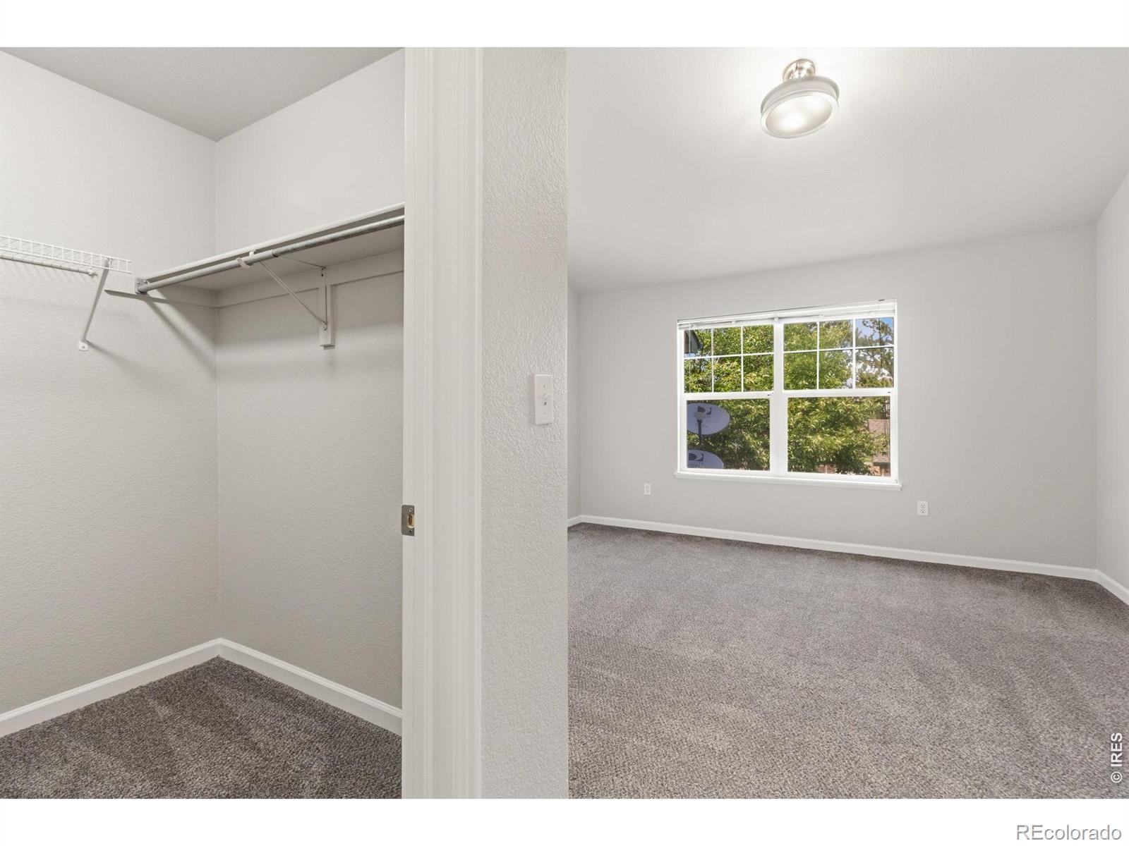 MLS Image #32 for 5225  white willow drive,fort collins, Colorado