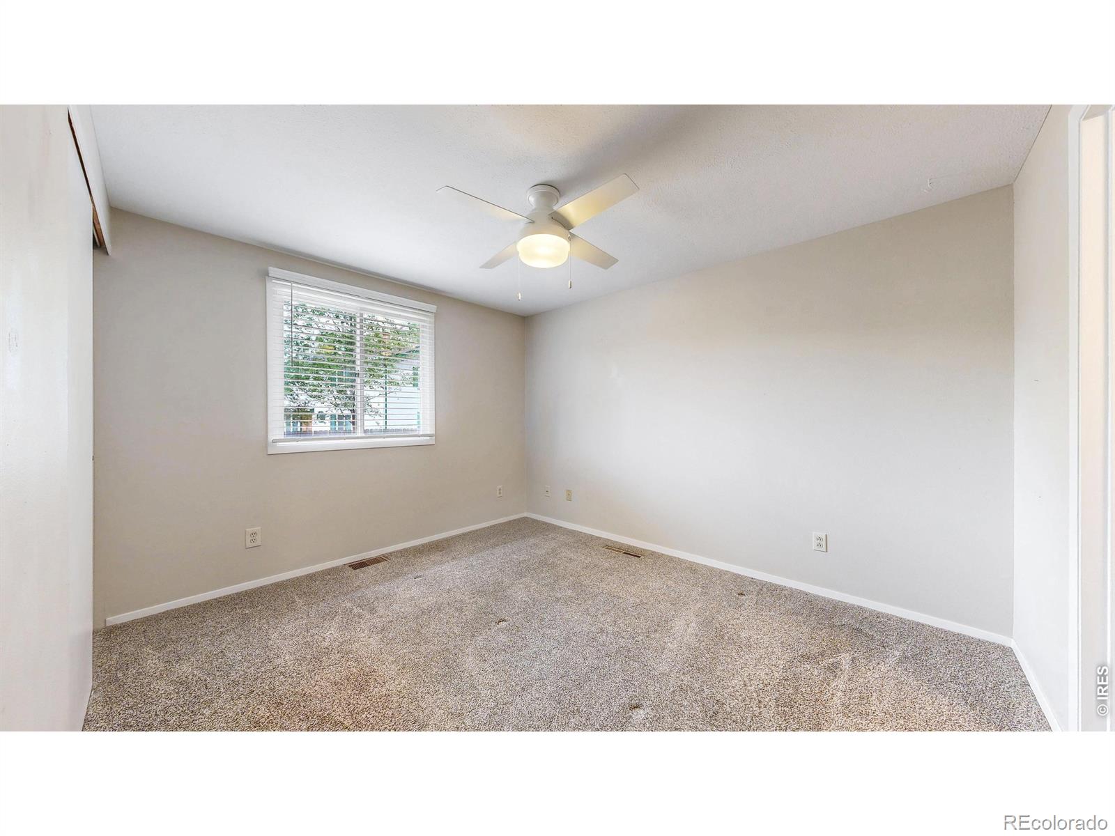 MLS Image #10 for 1624  enfield street,fort collins, Colorado