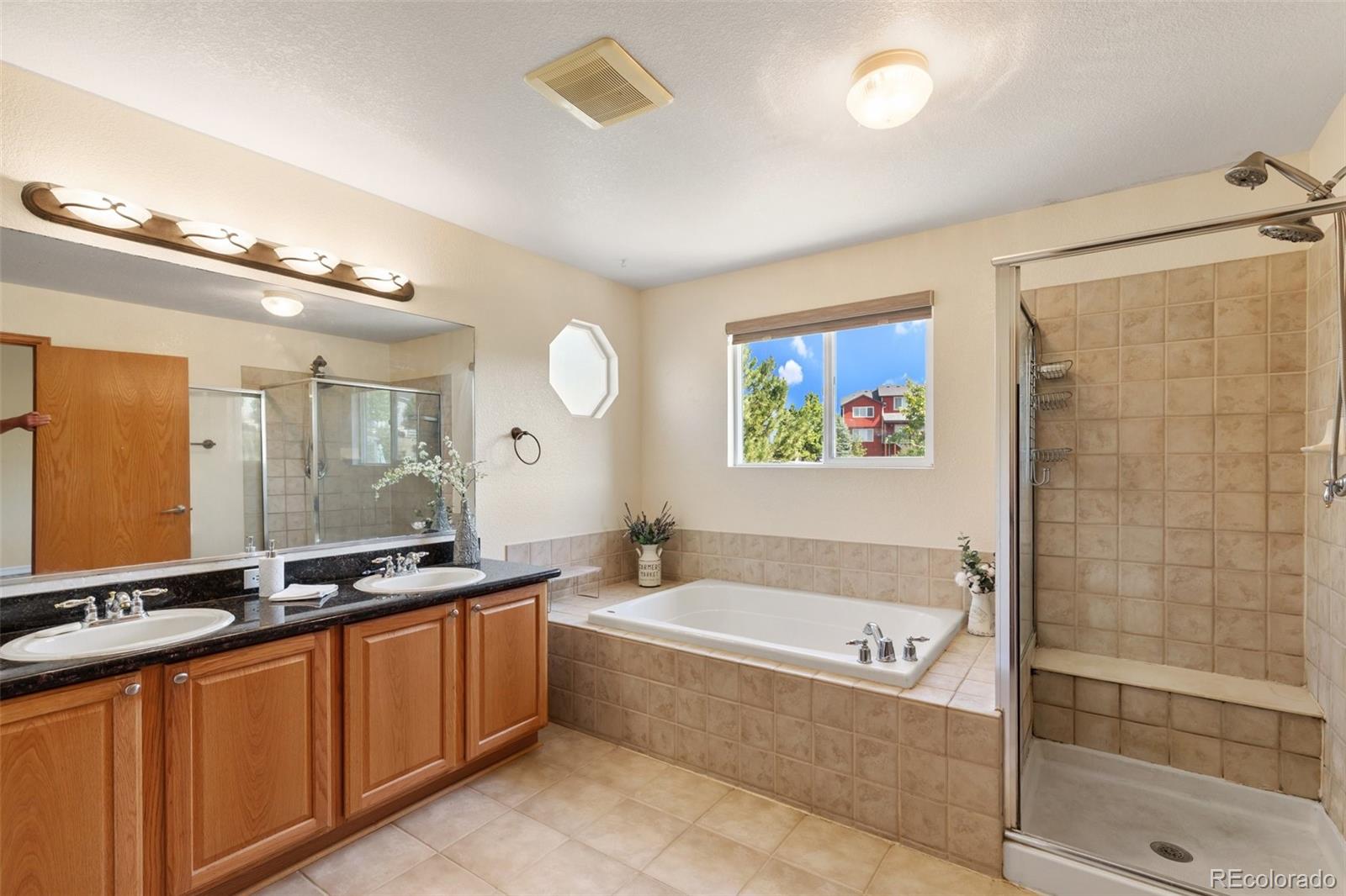 MLS Image #7 for 4046  deer valley drive,castle rock, Colorado