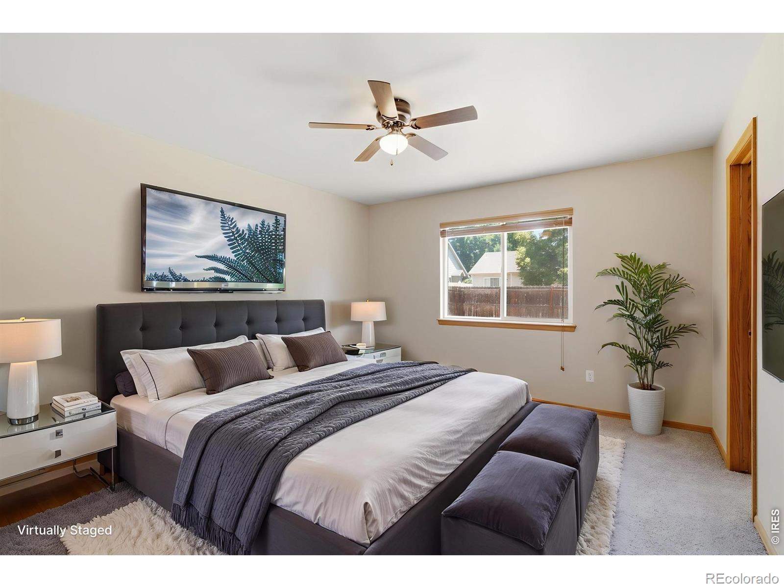MLS Image #30 for 305  12th street,windsor, Colorado