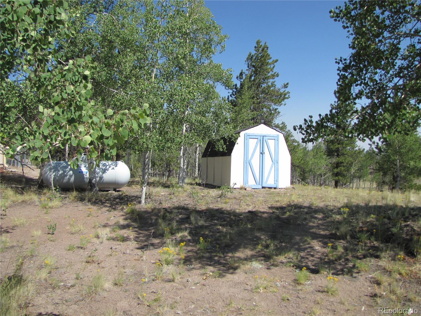 MLS Image #3 for 560  concho trail,hartsel, Colorado