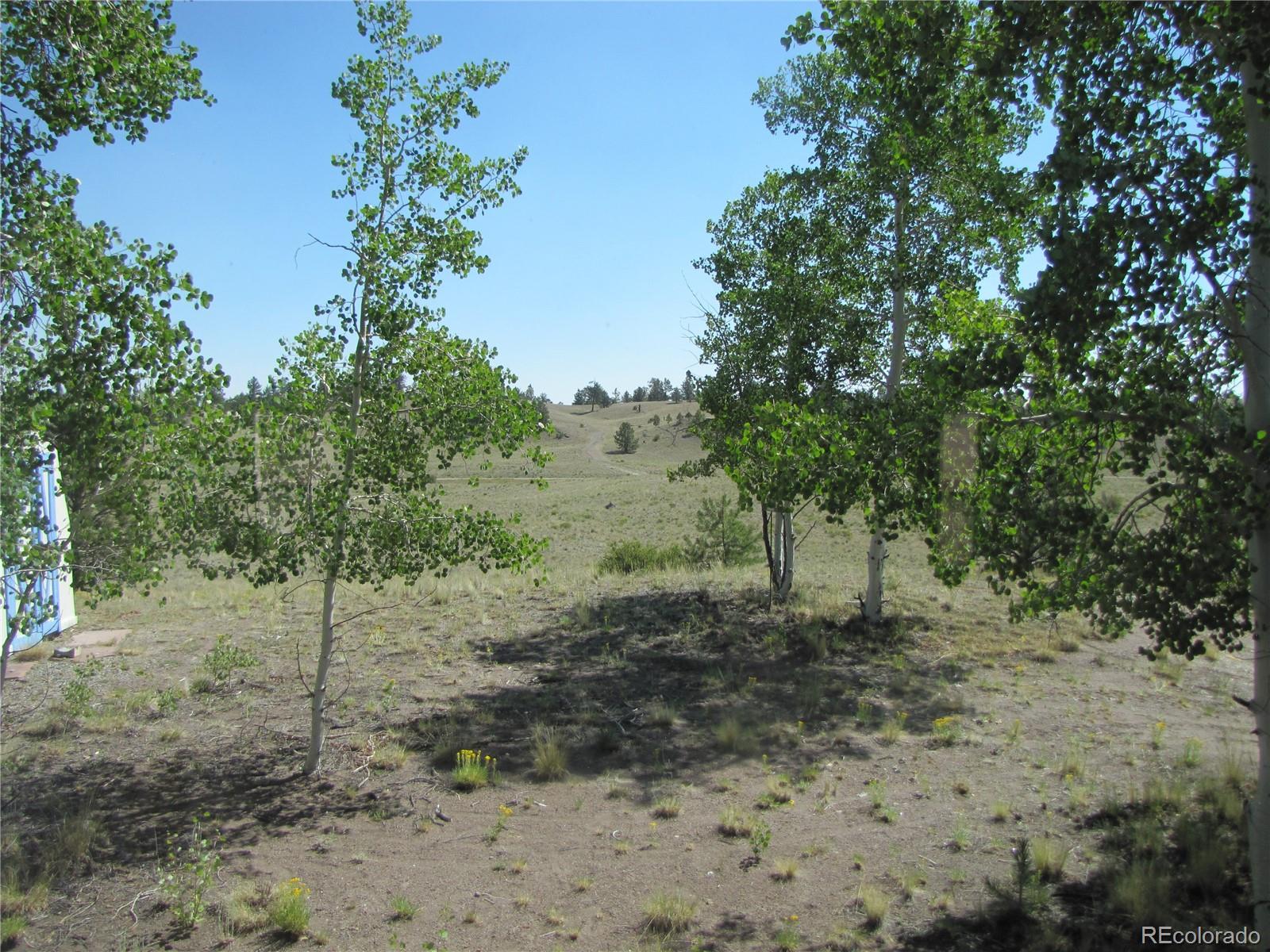 MLS Image #31 for 560  concho trail,hartsel, Colorado