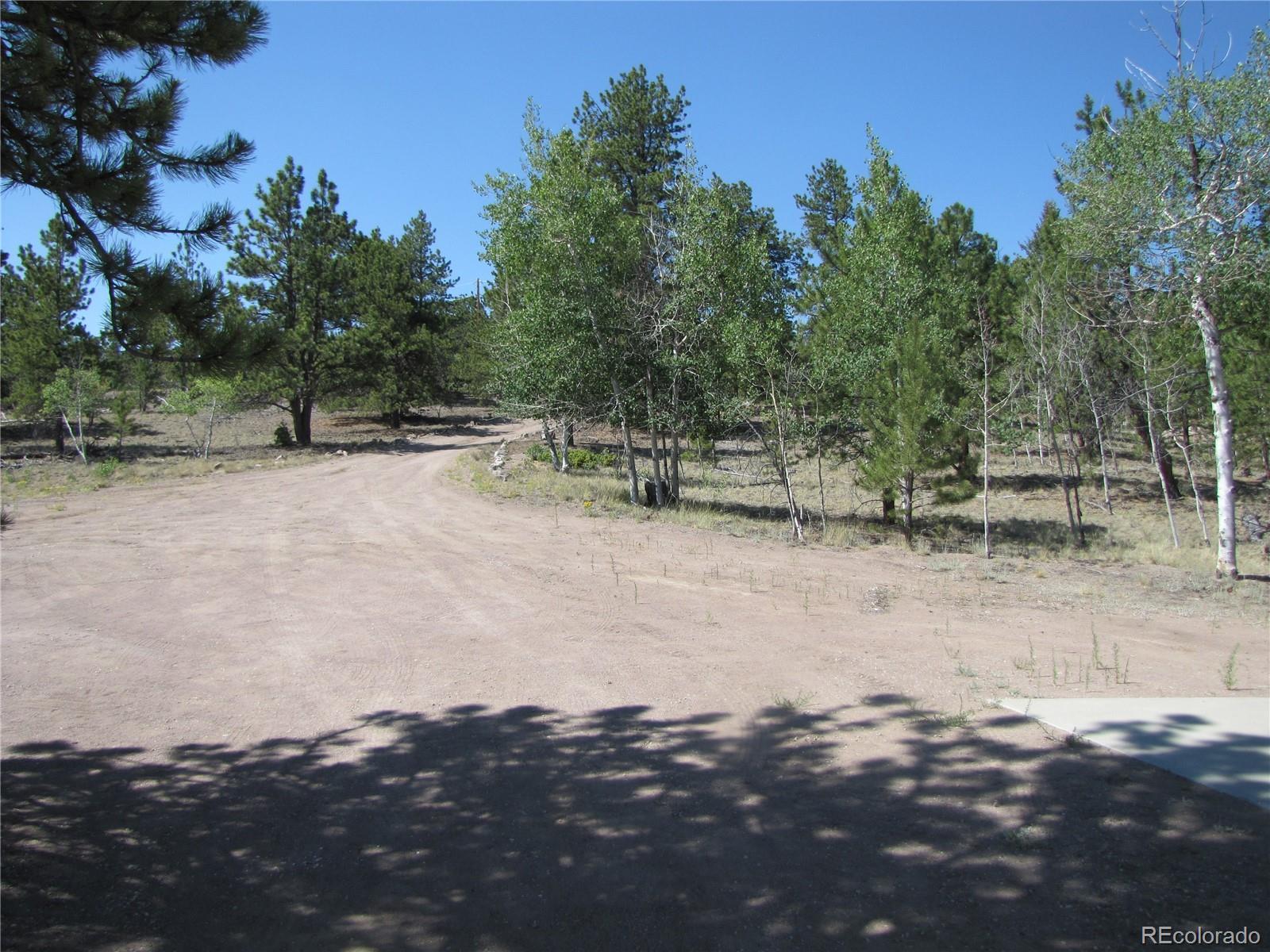MLS Image #32 for 560  concho trail,hartsel, Colorado