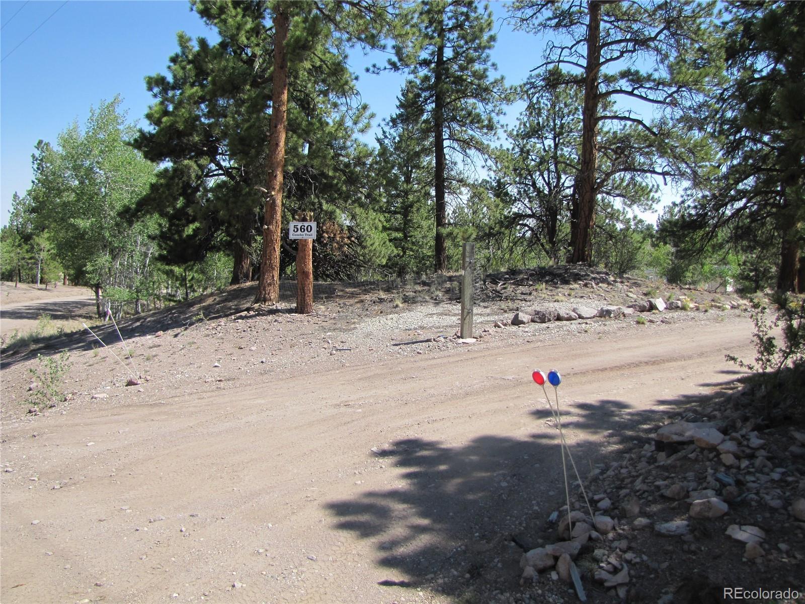 MLS Image #34 for 560  concho trail,hartsel, Colorado