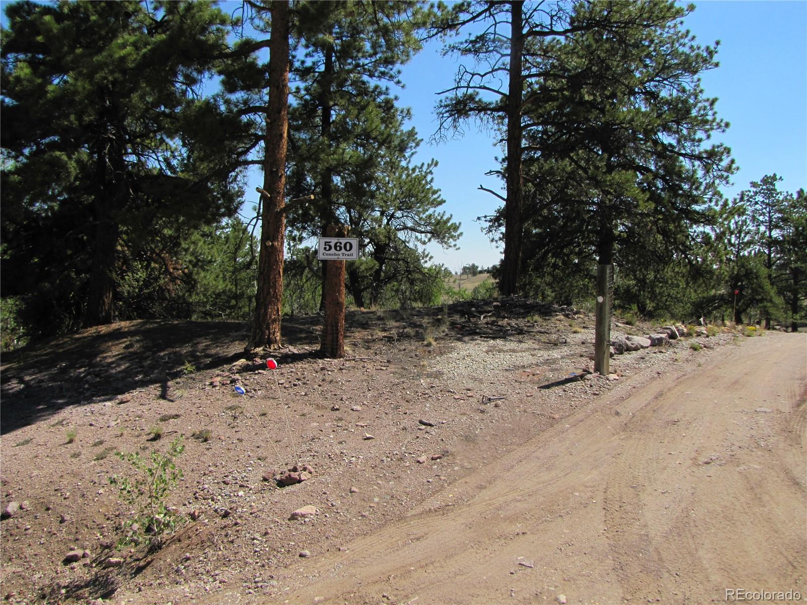 MLS Image #35 for 560  concho trail,hartsel, Colorado