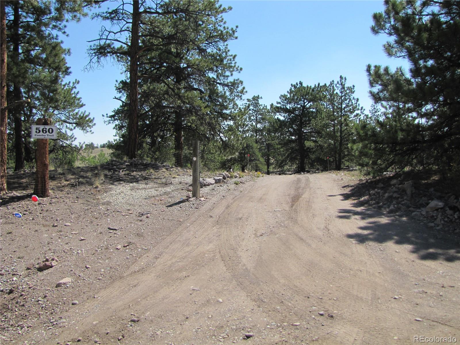 MLS Image #36 for 560  concho trail,hartsel, Colorado