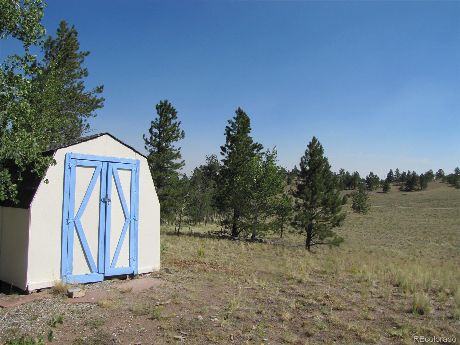 MLS Image #4 for 560  concho trail,hartsel, Colorado