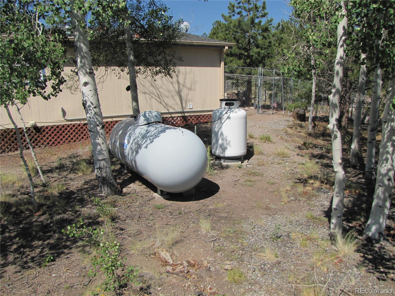 MLS Image #5 for 560  concho trail,hartsel, Colorado