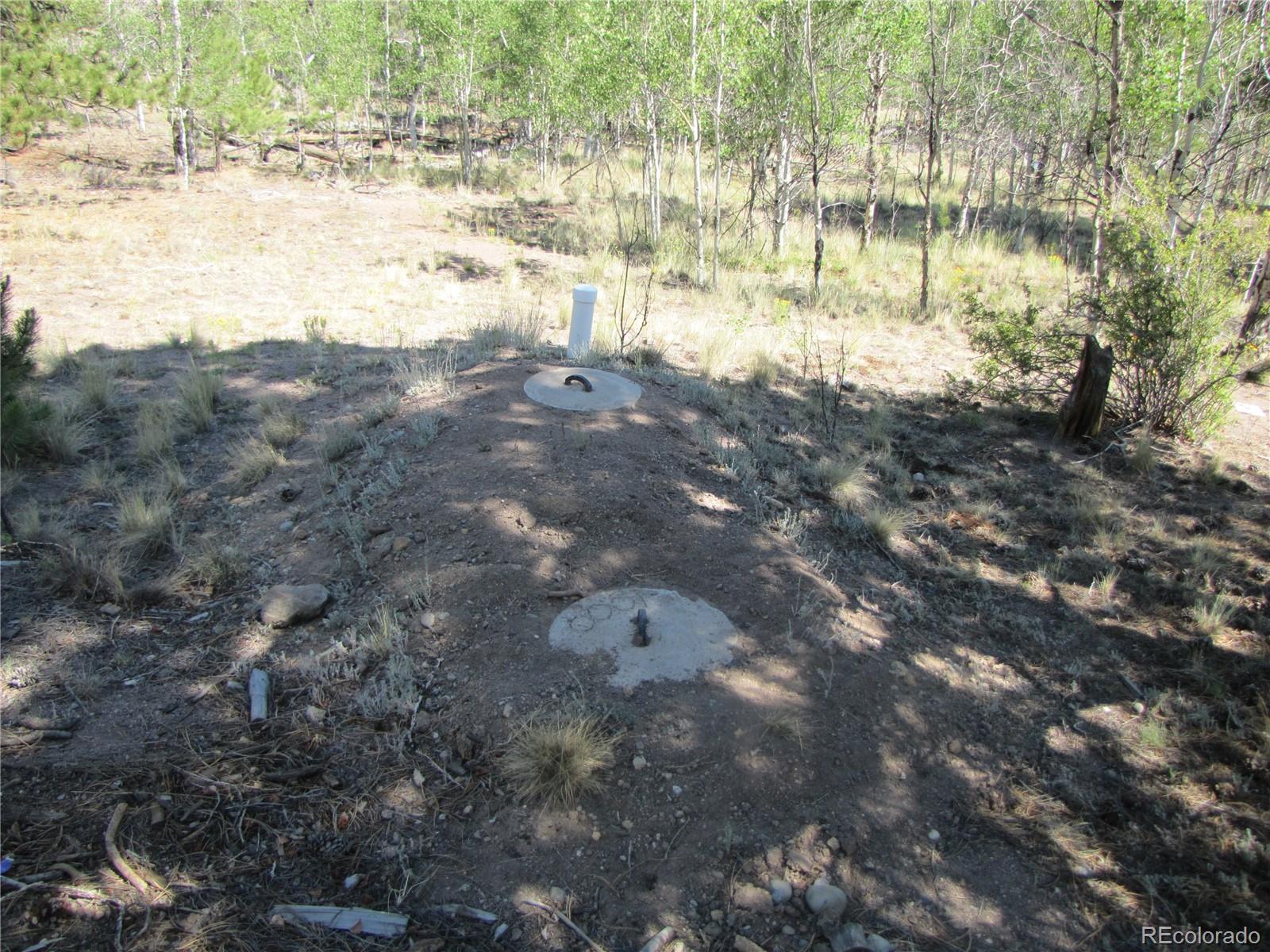 MLS Image #6 for 560  concho trail,hartsel, Colorado