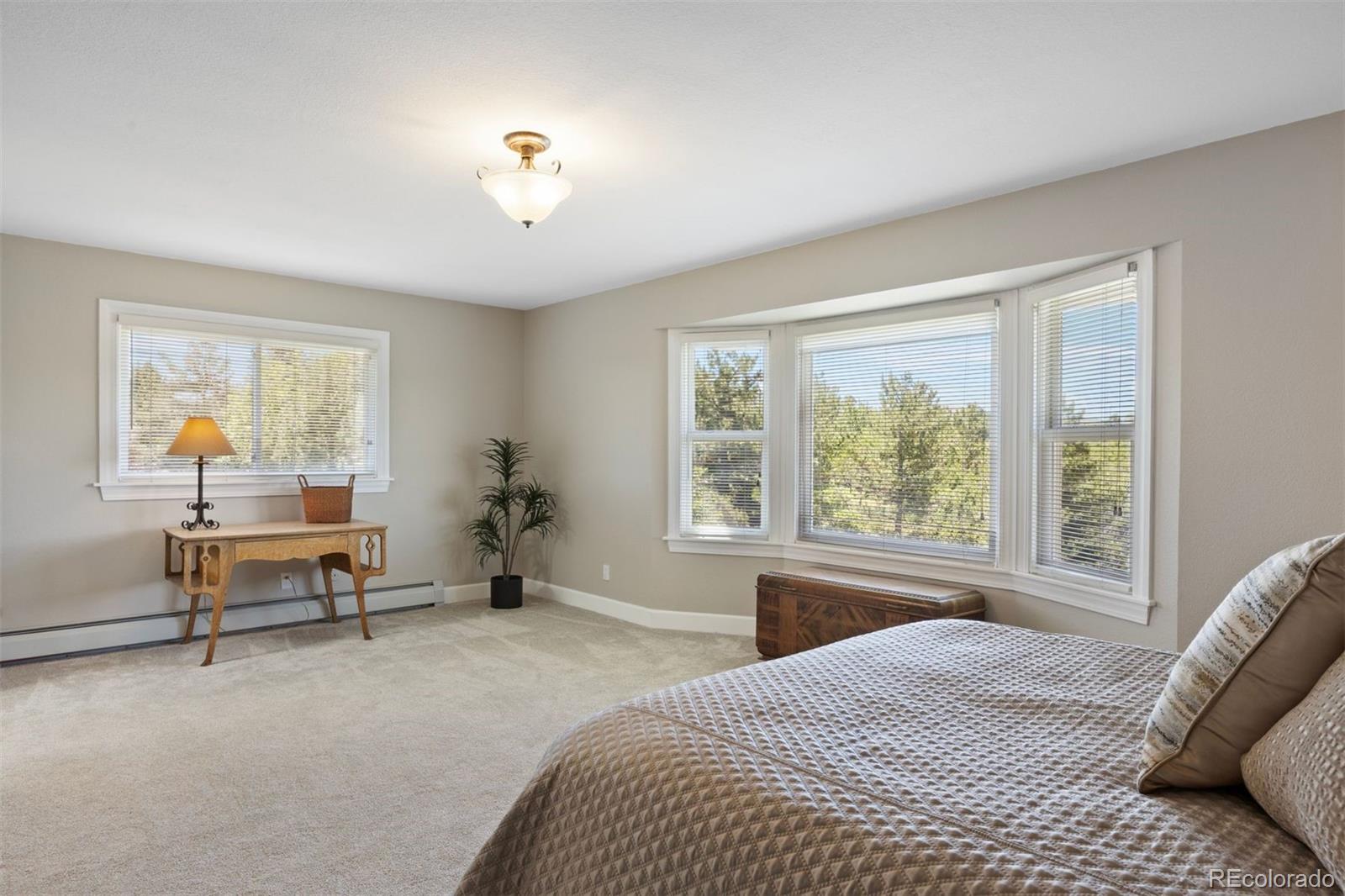 MLS Image #23 for 390  suffolk lane,castle rock, Colorado