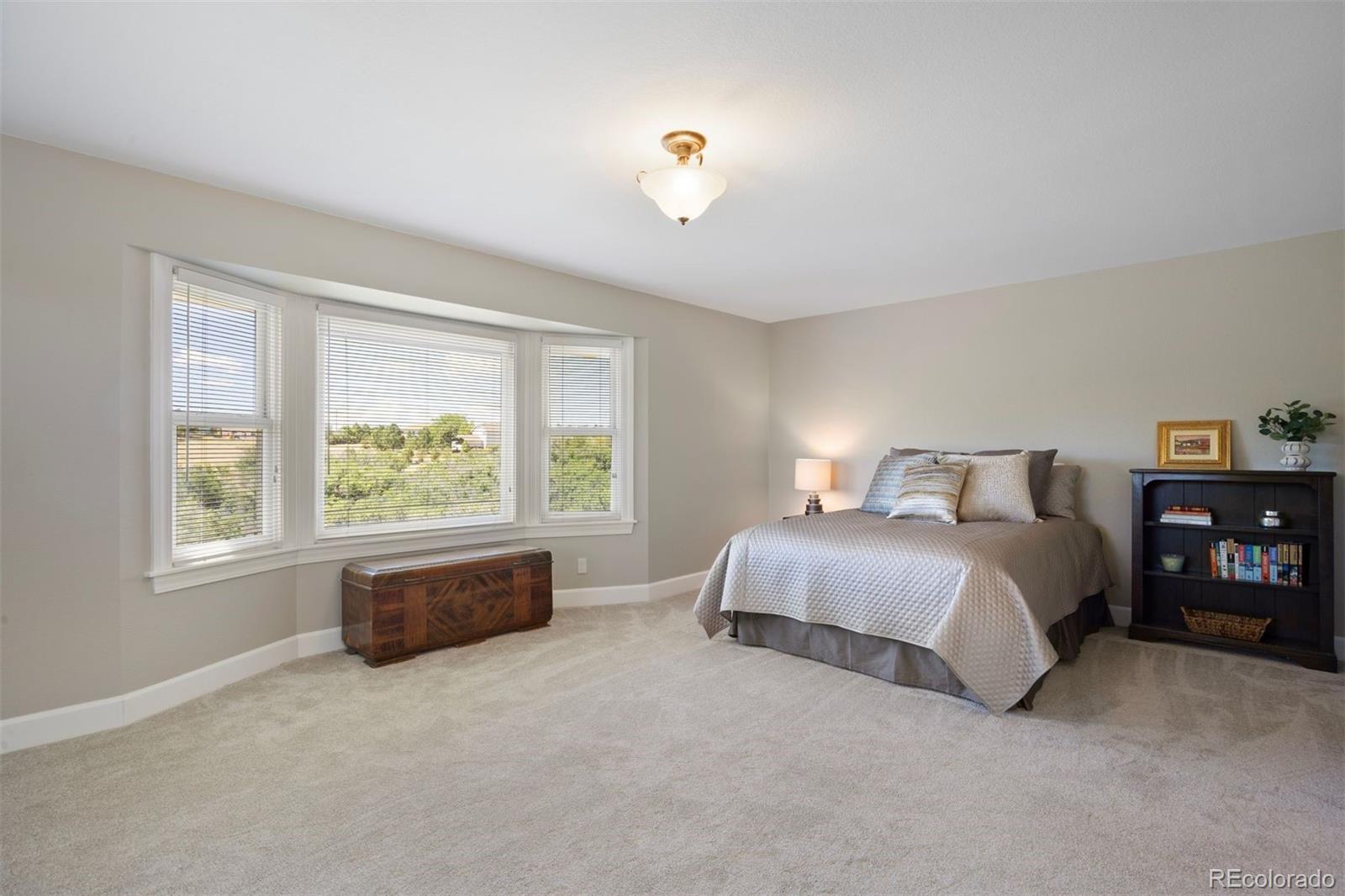MLS Image #24 for 390  suffolk lane,castle rock, Colorado
