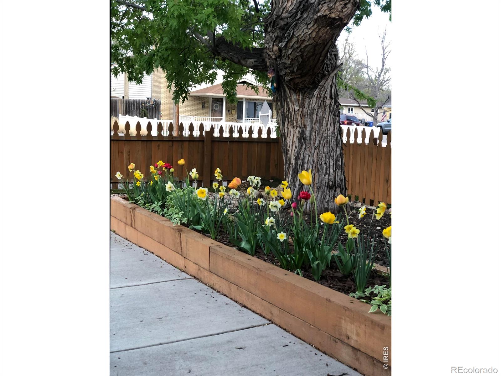 MLS Image #28 for 135 s washington avenue,loveland, Colorado