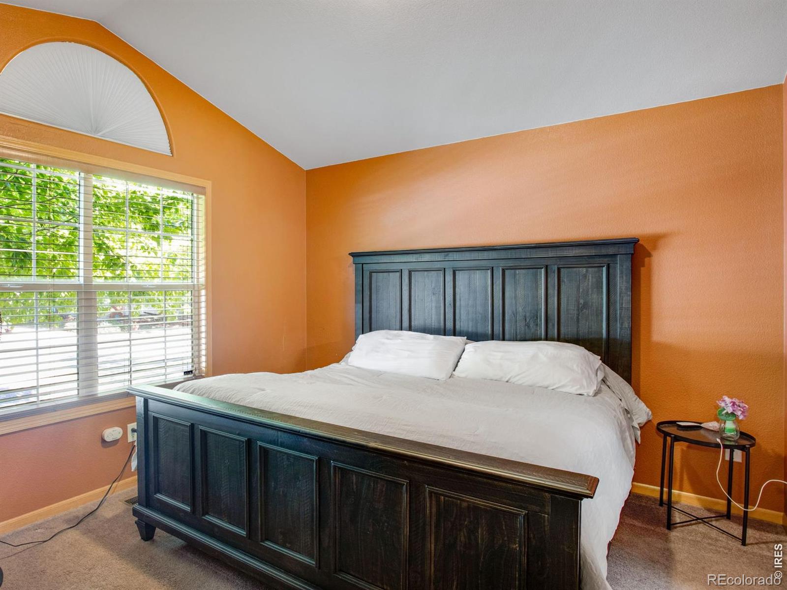 MLS Image #18 for 399  lark bunting avenue,loveland, Colorado