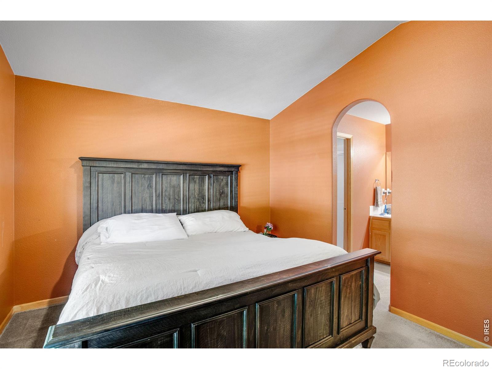 MLS Image #19 for 399  lark bunting avenue,loveland, Colorado