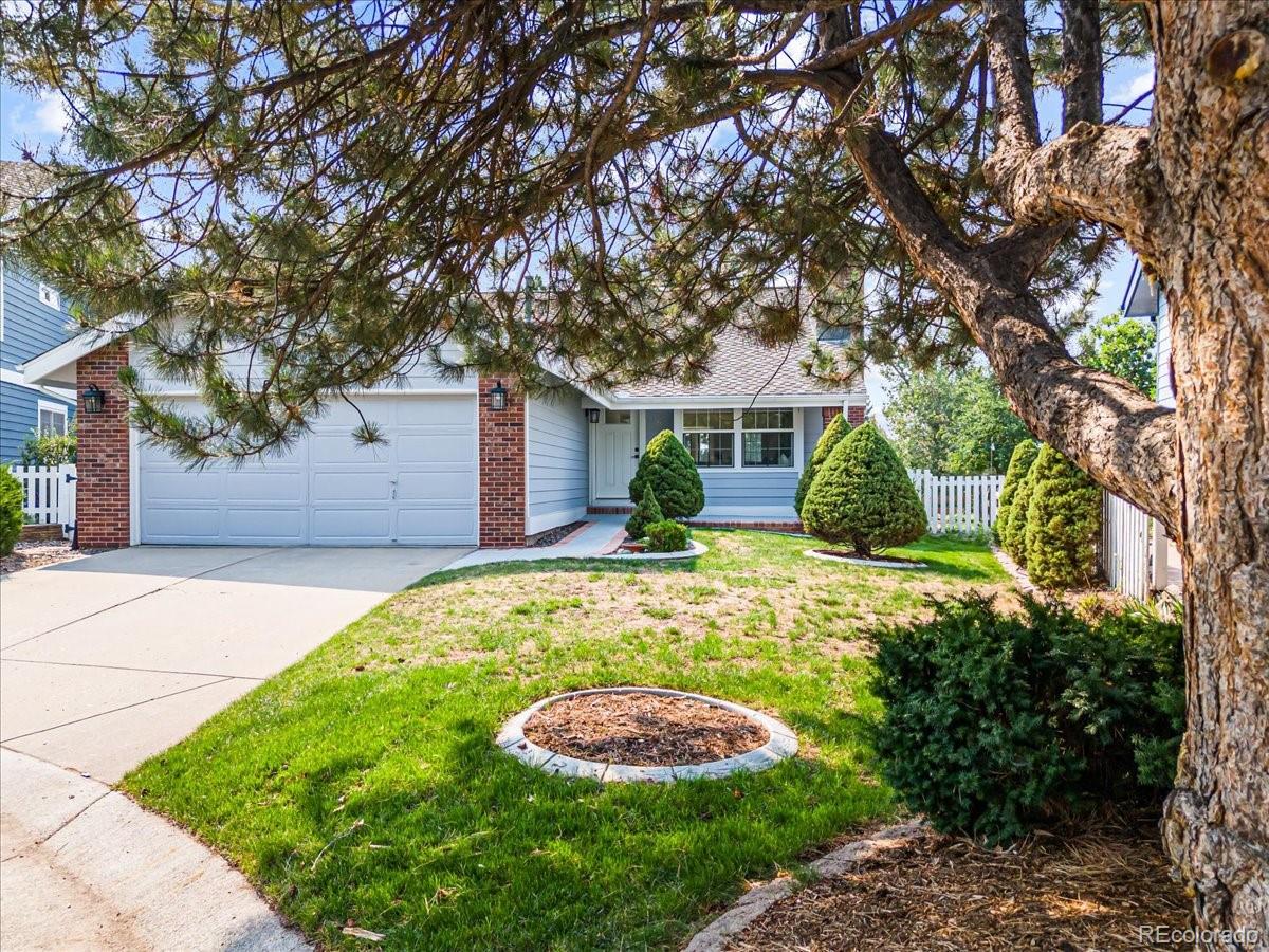 MLS Image #33 for 6  manzanita ,littleton, Colorado