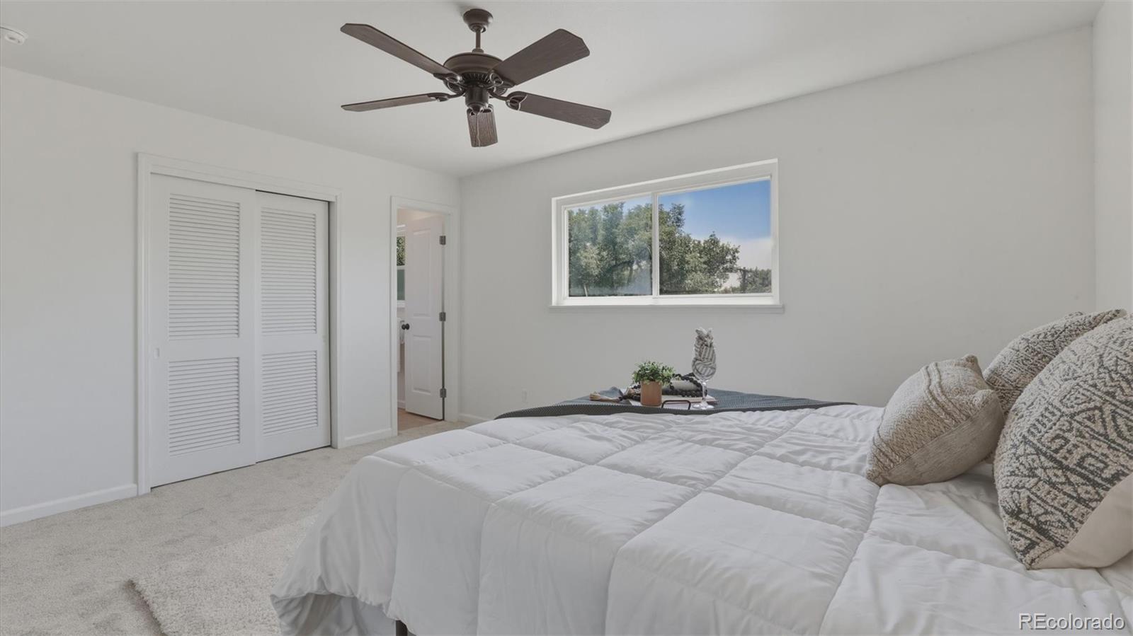 MLS Image #10 for 905 e costilla street,colorado springs, Colorado