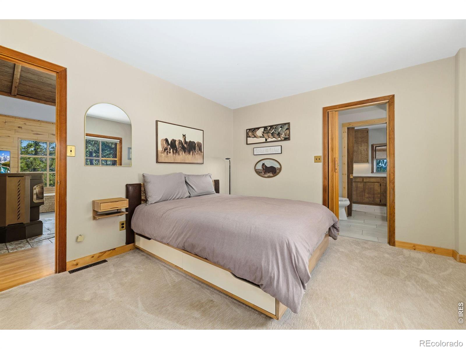 MLS Image #21 for 128  elk road,lyons, Colorado