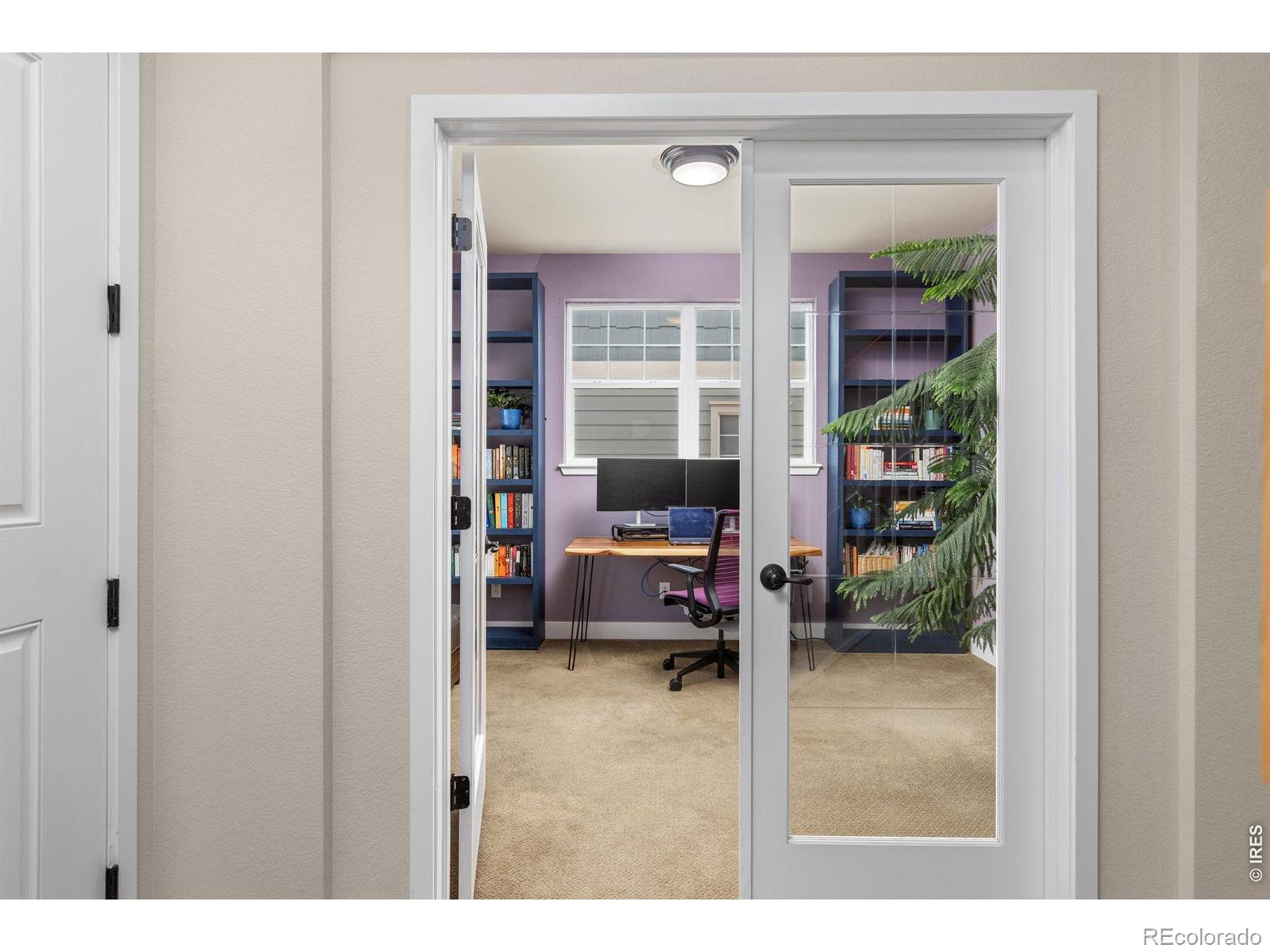 MLS Image #5 for 1084  little grove court,longmont, Colorado
