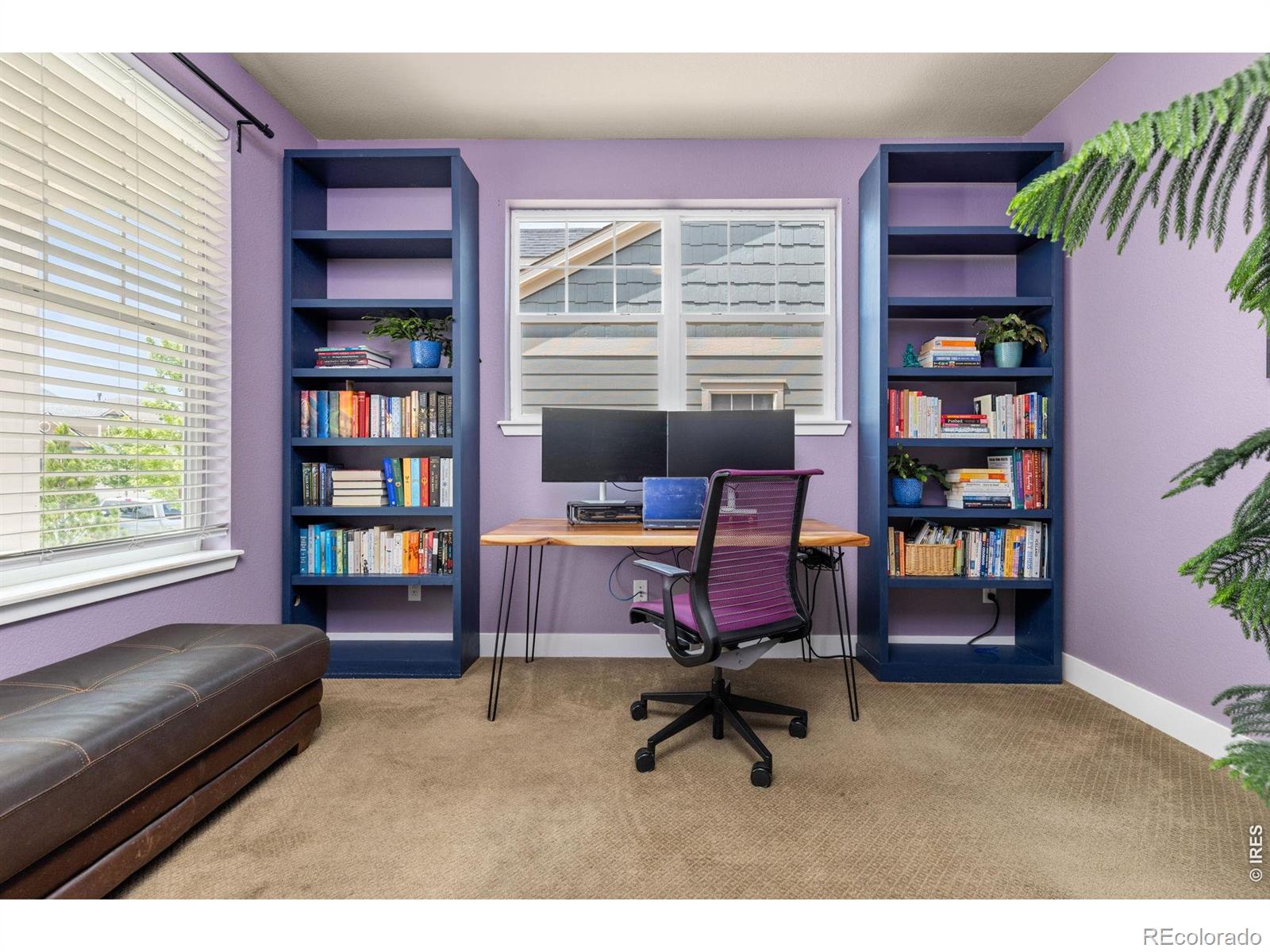 MLS Image #7 for 1084  little grove court,longmont, Colorado