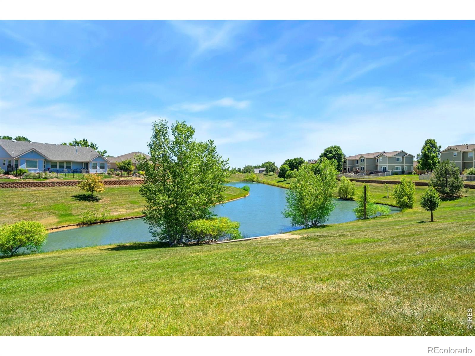 MLS Image #11 for 1556  purple sage court,fort collins, Colorado