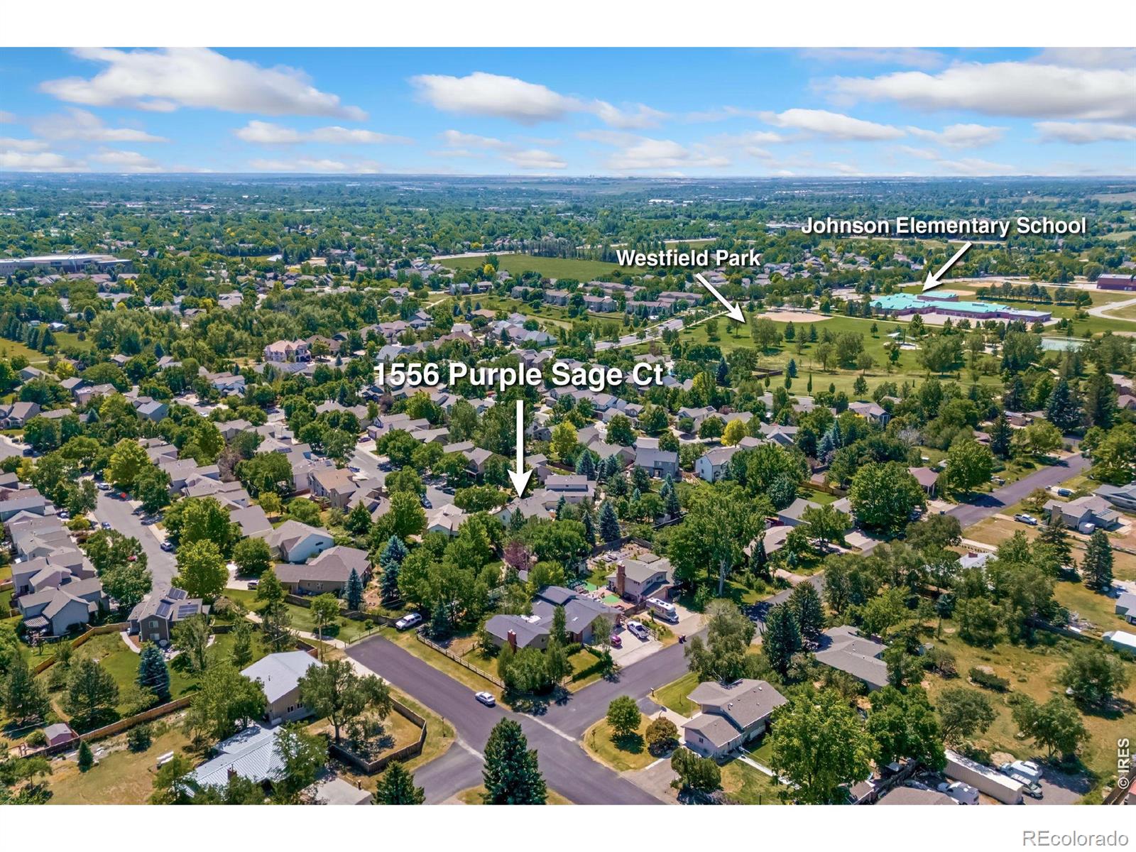 MLS Image #14 for 1556  purple sage court,fort collins, Colorado