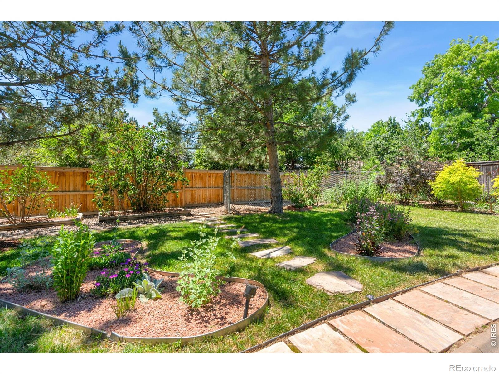 MLS Image #5 for 1556  purple sage court,fort collins, Colorado