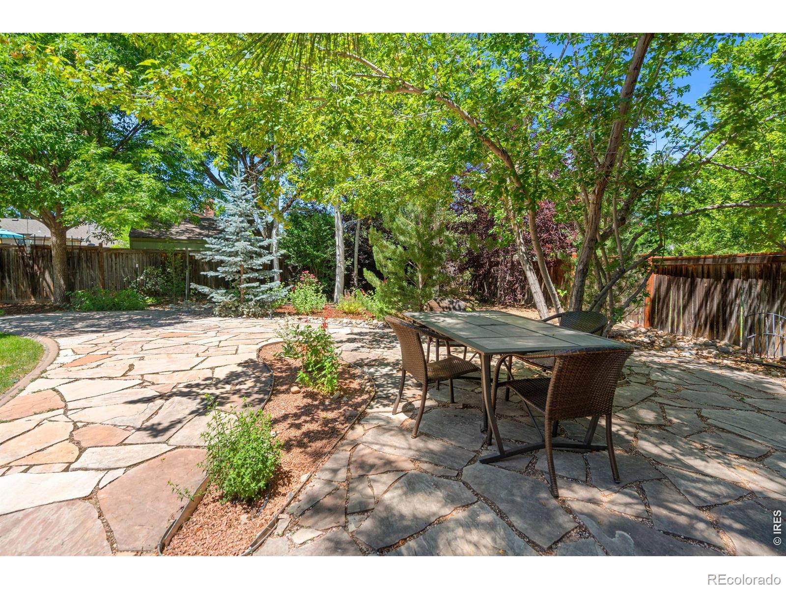 MLS Image #9 for 1556  purple sage court,fort collins, Colorado
