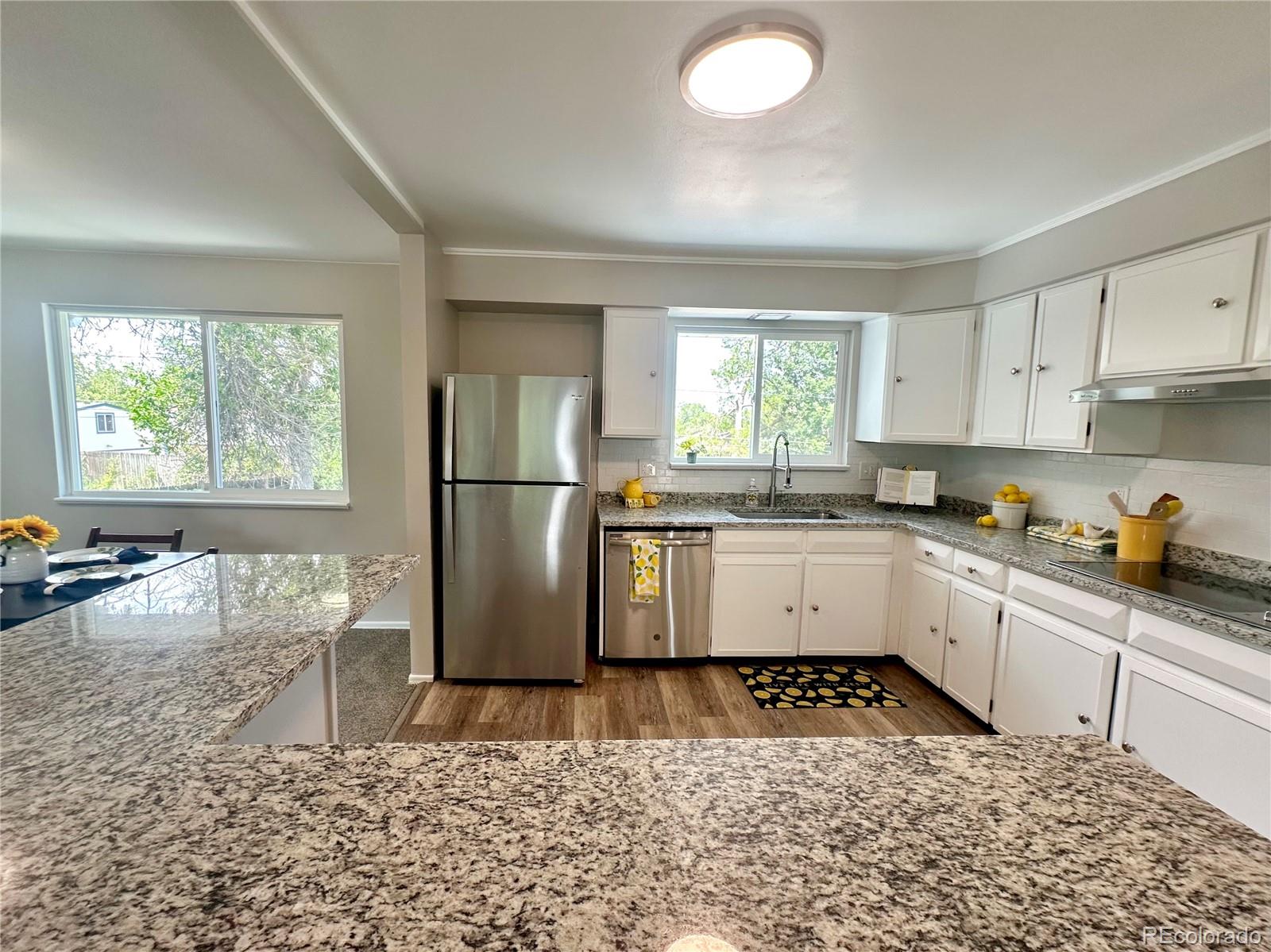 MLS Image #1 for 925 w 101st avenue,denver, Colorado