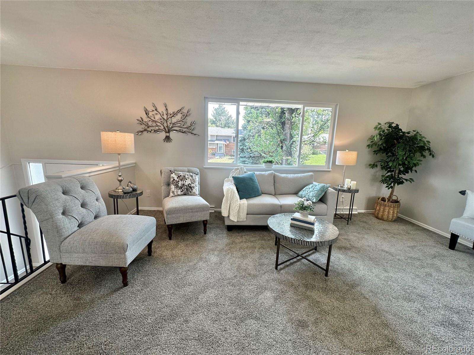 MLS Image #12 for 925 w 101st avenue,denver, Colorado