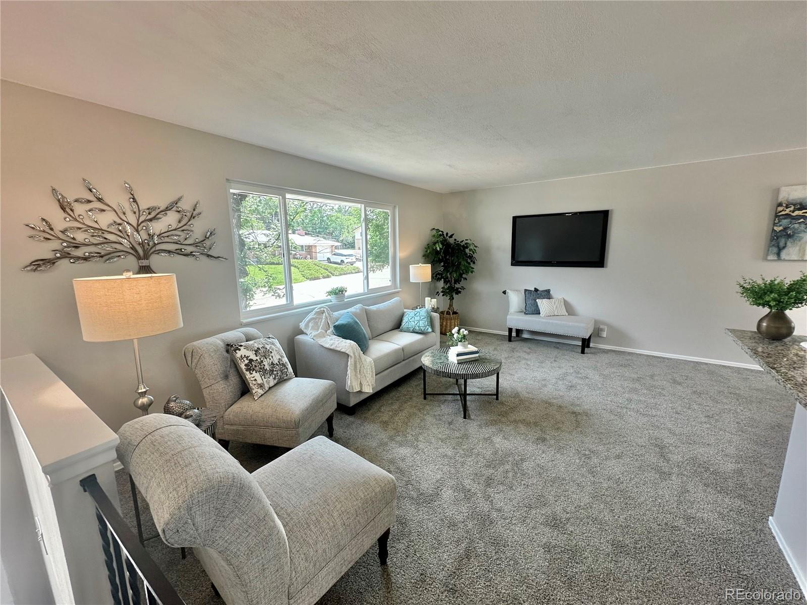 MLS Image #13 for 925 w 101st avenue,denver, Colorado