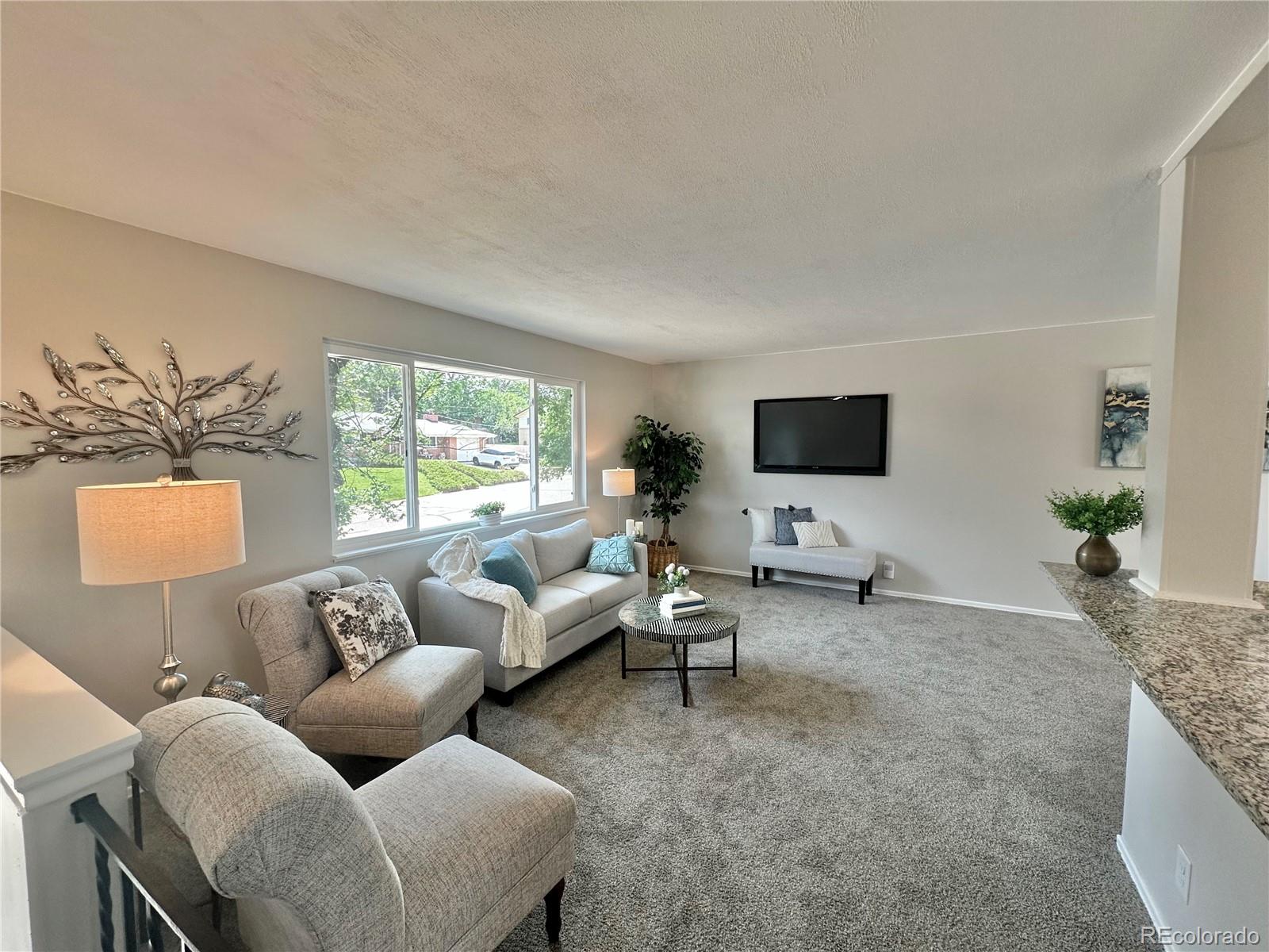 MLS Image #14 for 925 w 101st avenue,denver, Colorado