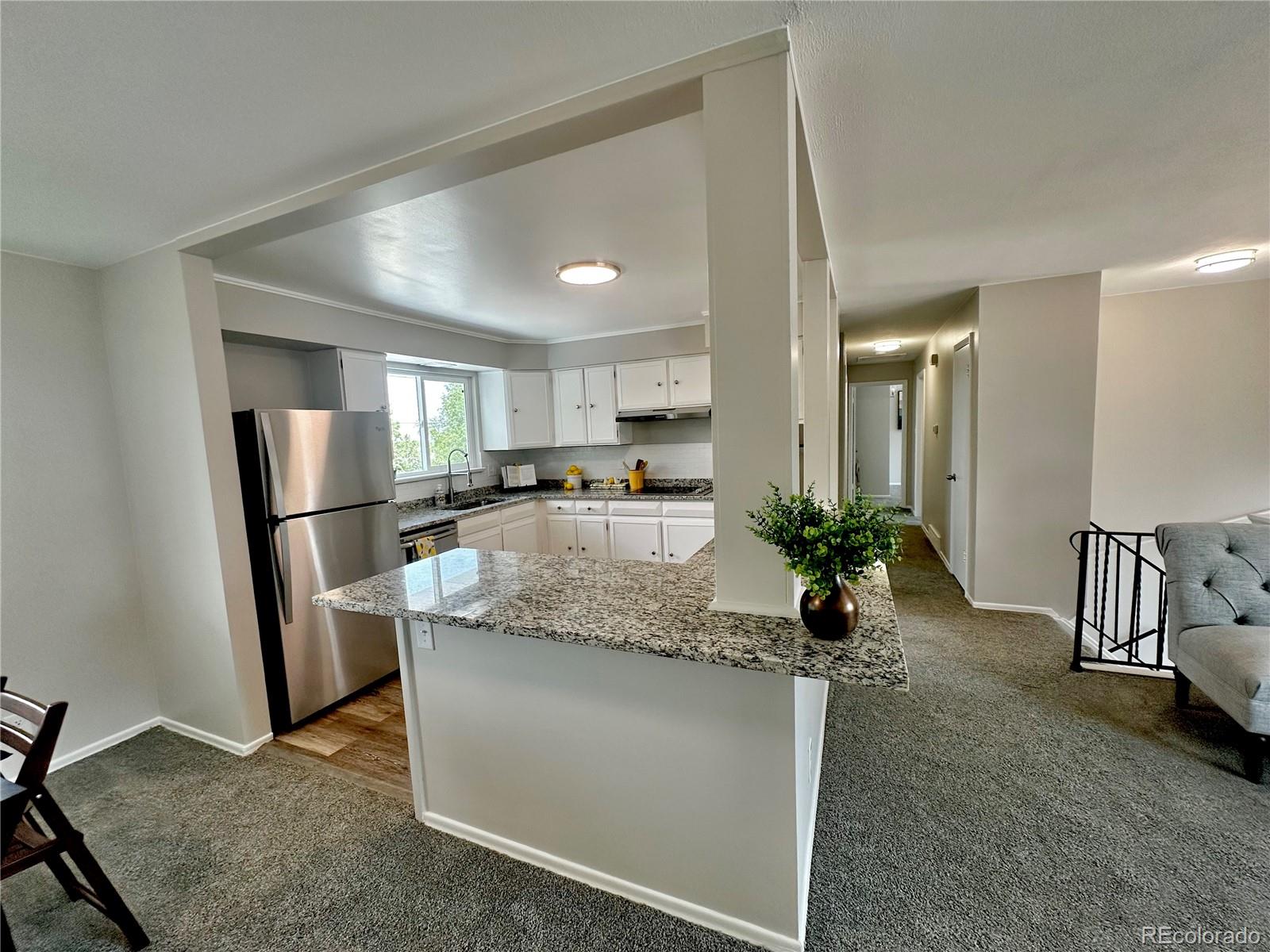 MLS Image #2 for 925 w 101st avenue,denver, Colorado